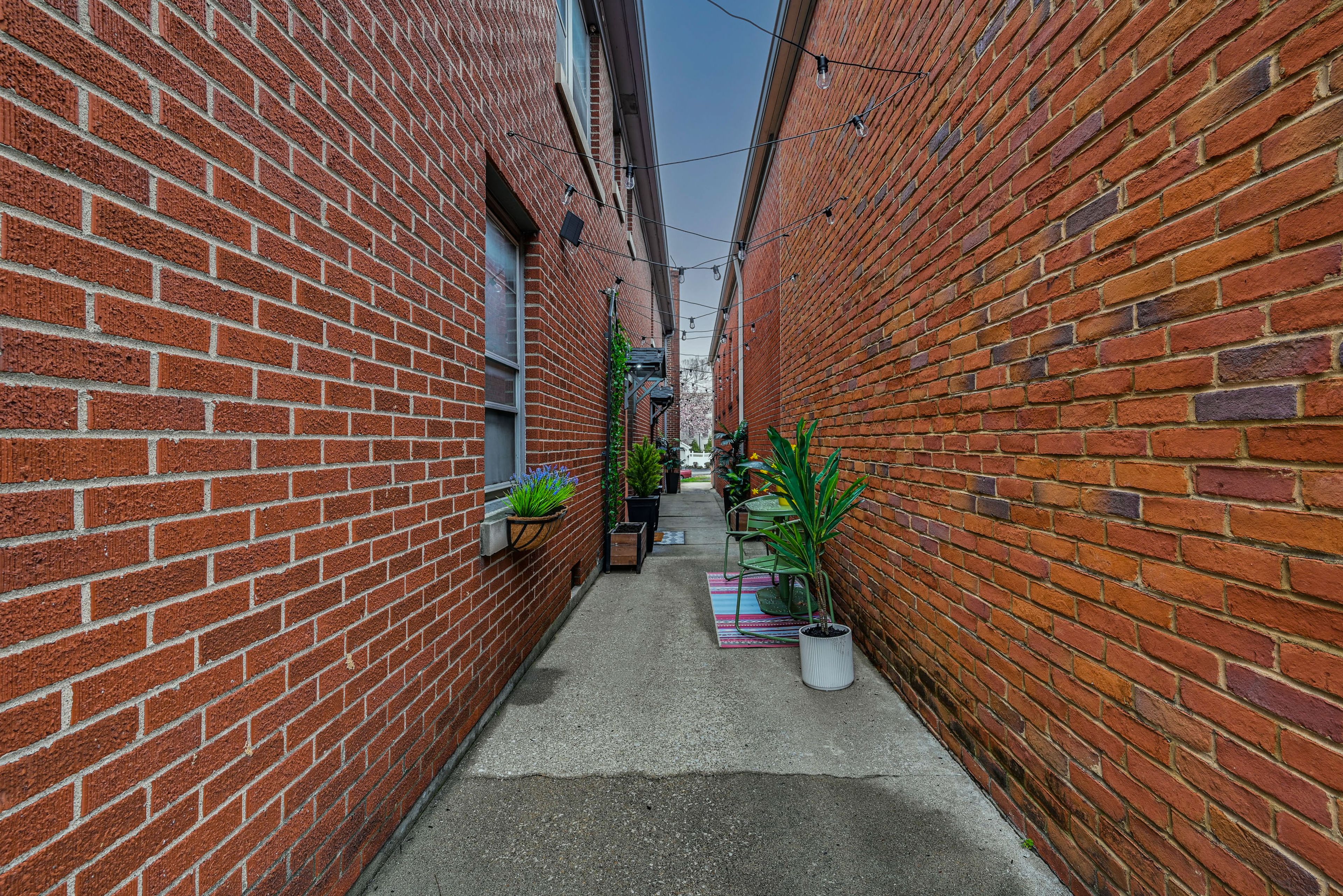 Image 23