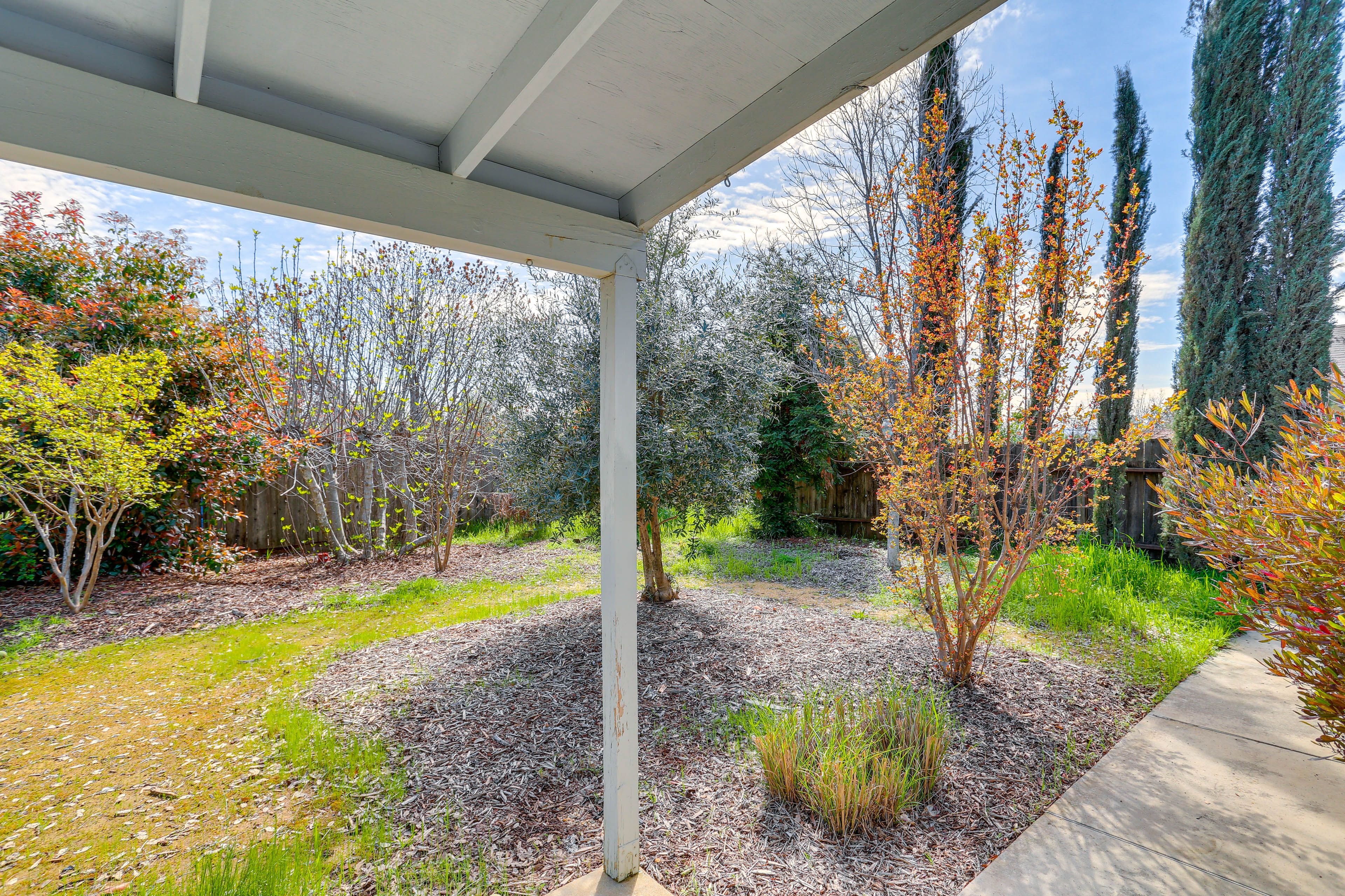 Fenced Yard