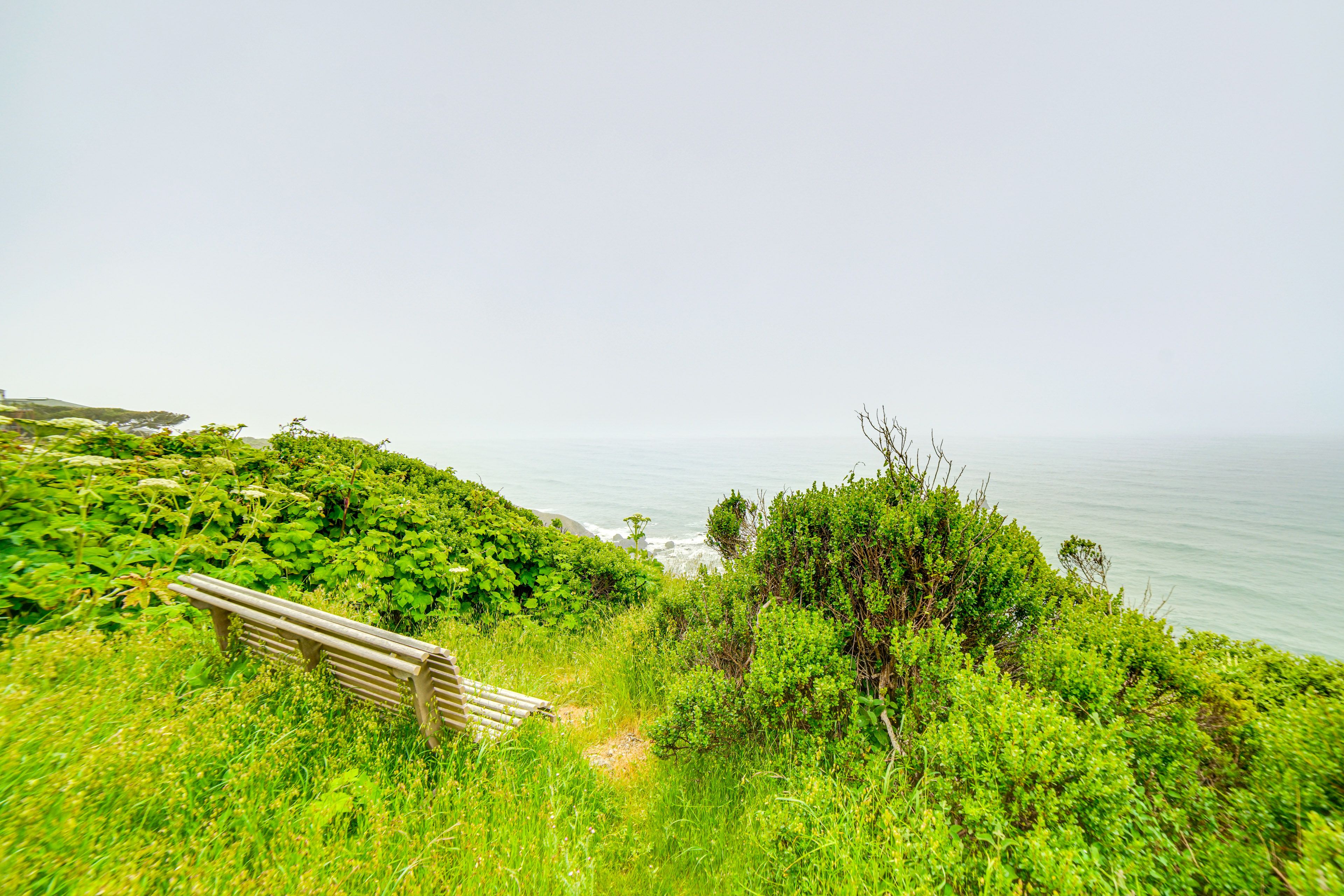 Ocean Views