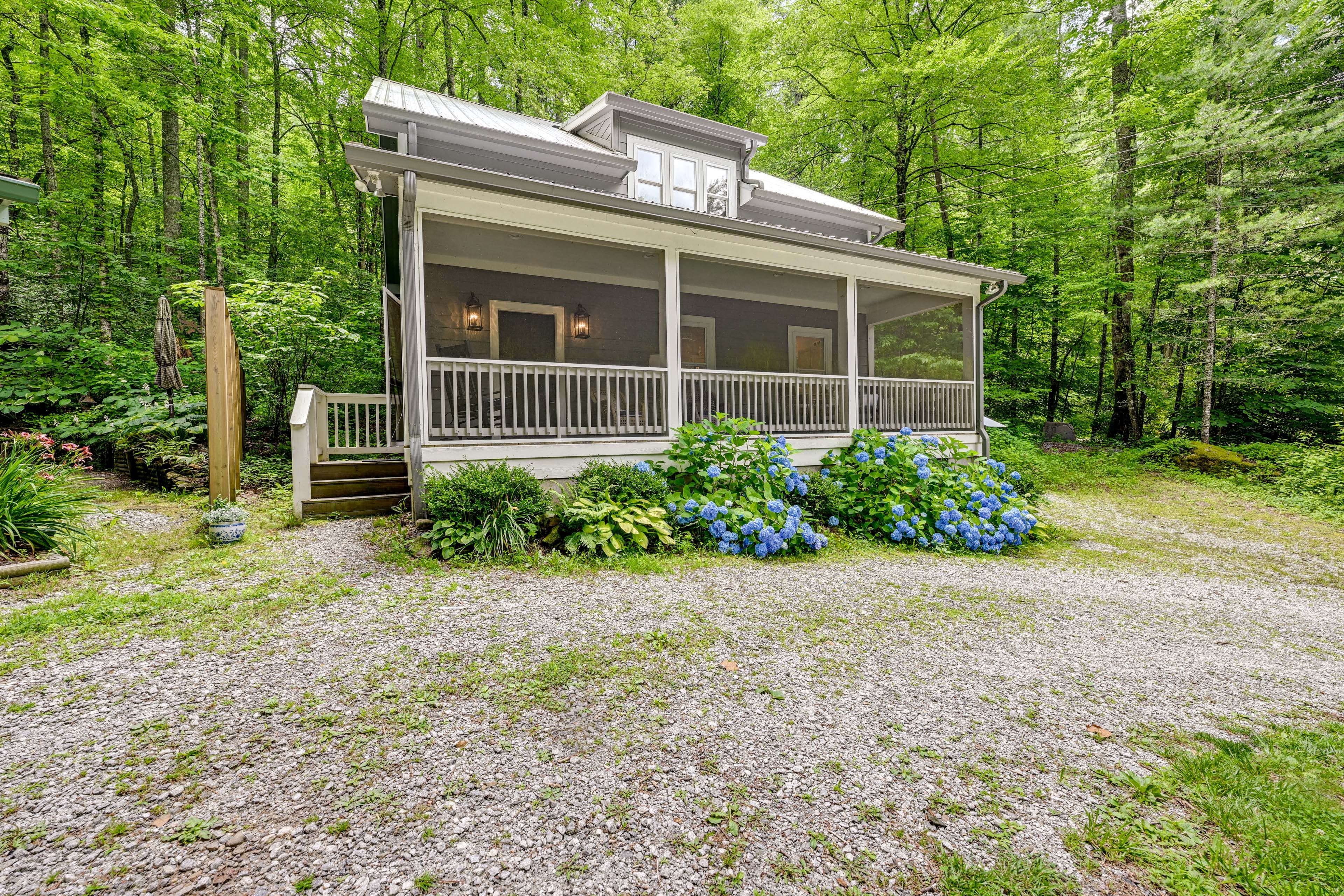 Cabin Exterior | Gas Grill