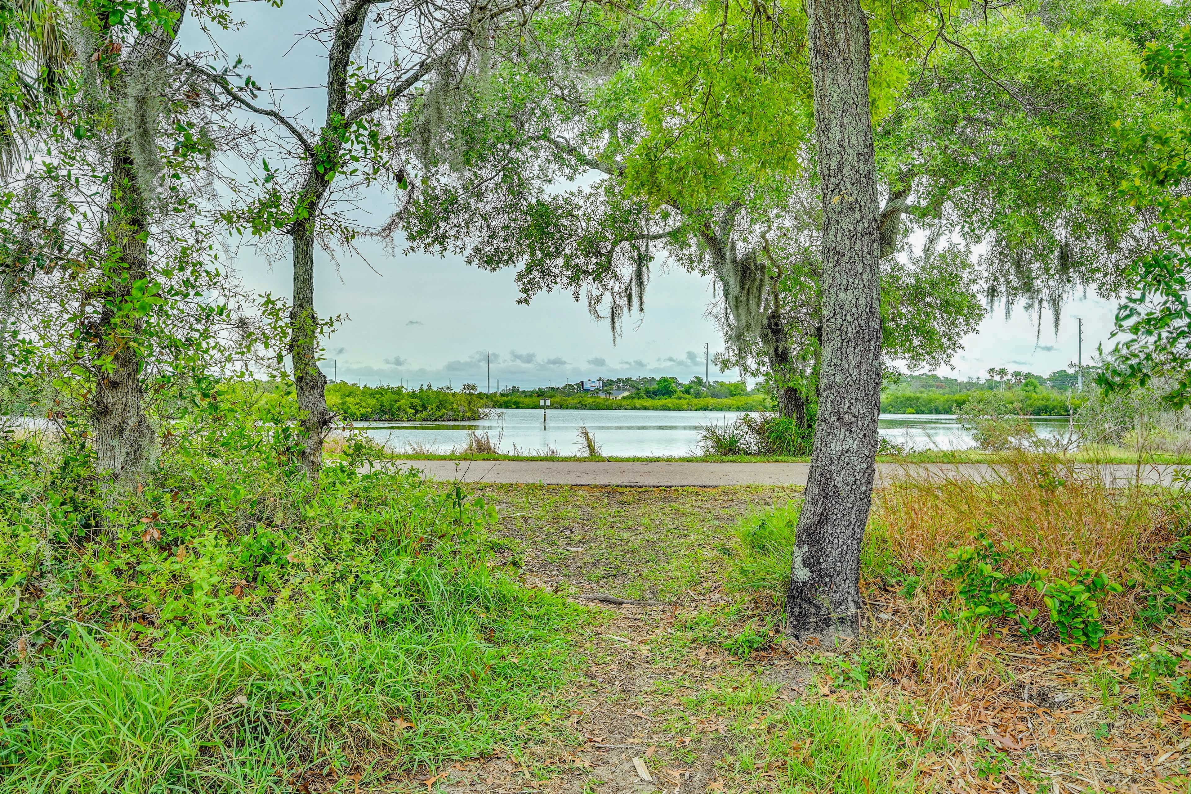 Bayou Across Street