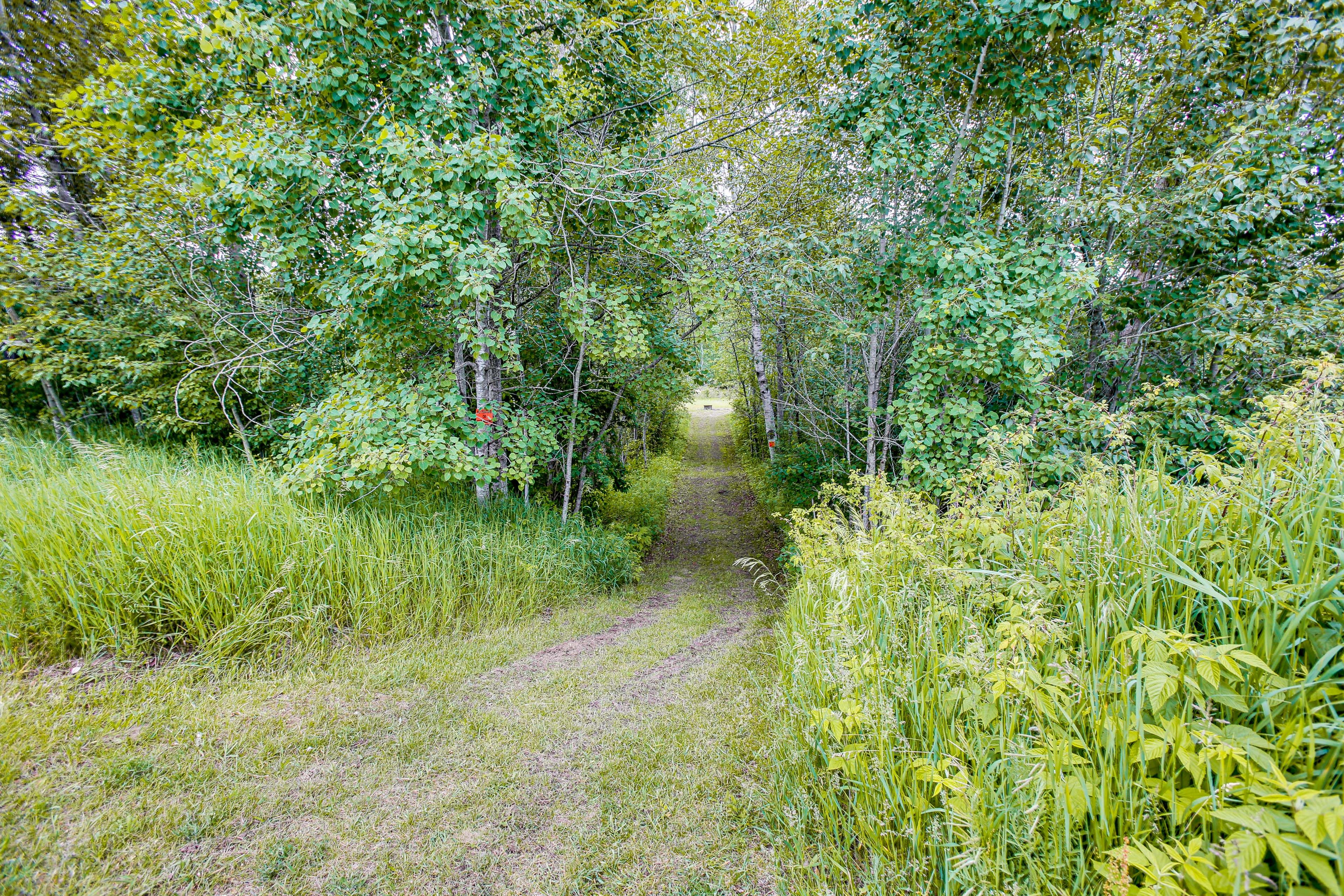 Walking Path