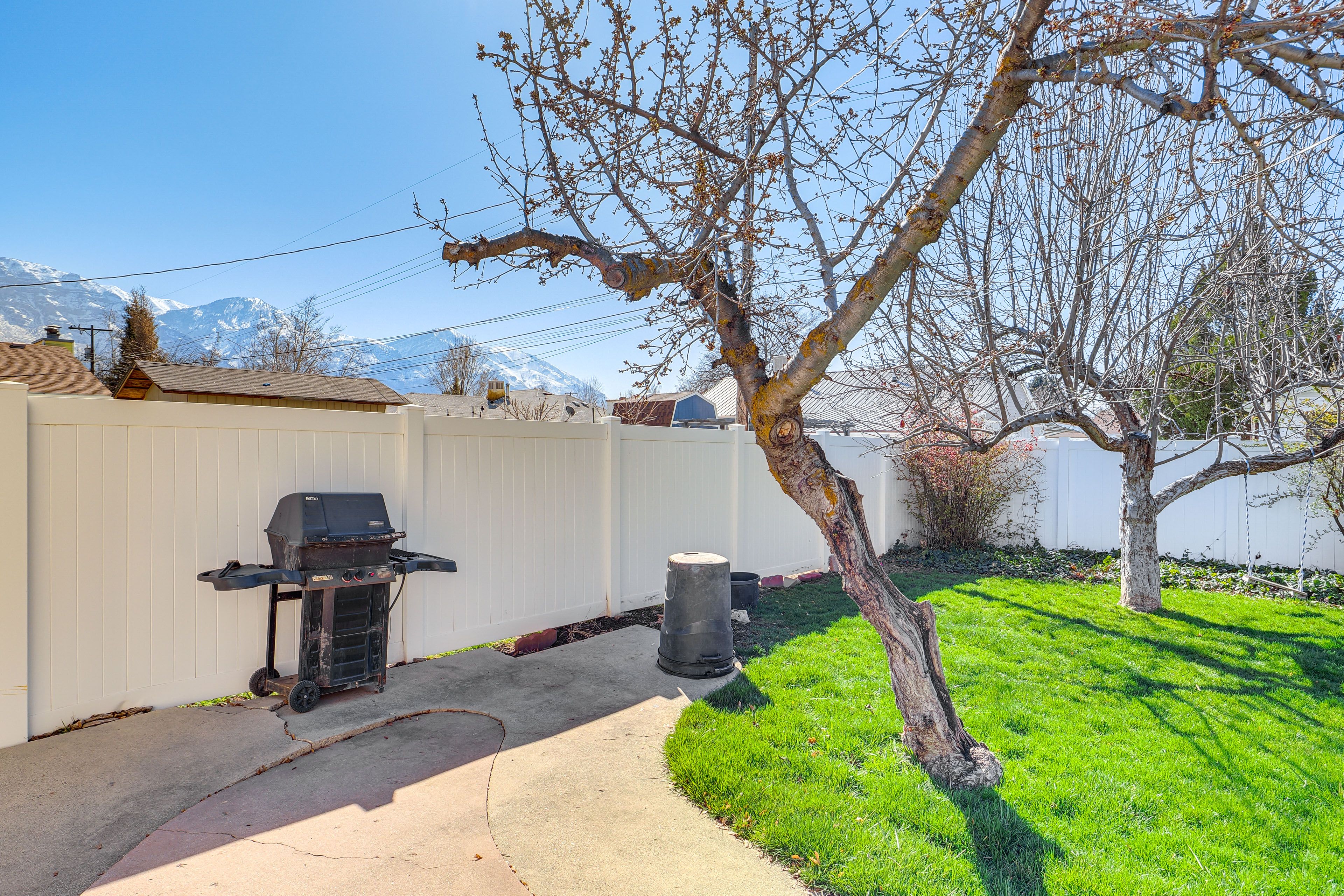 Backyard | Gas Grill