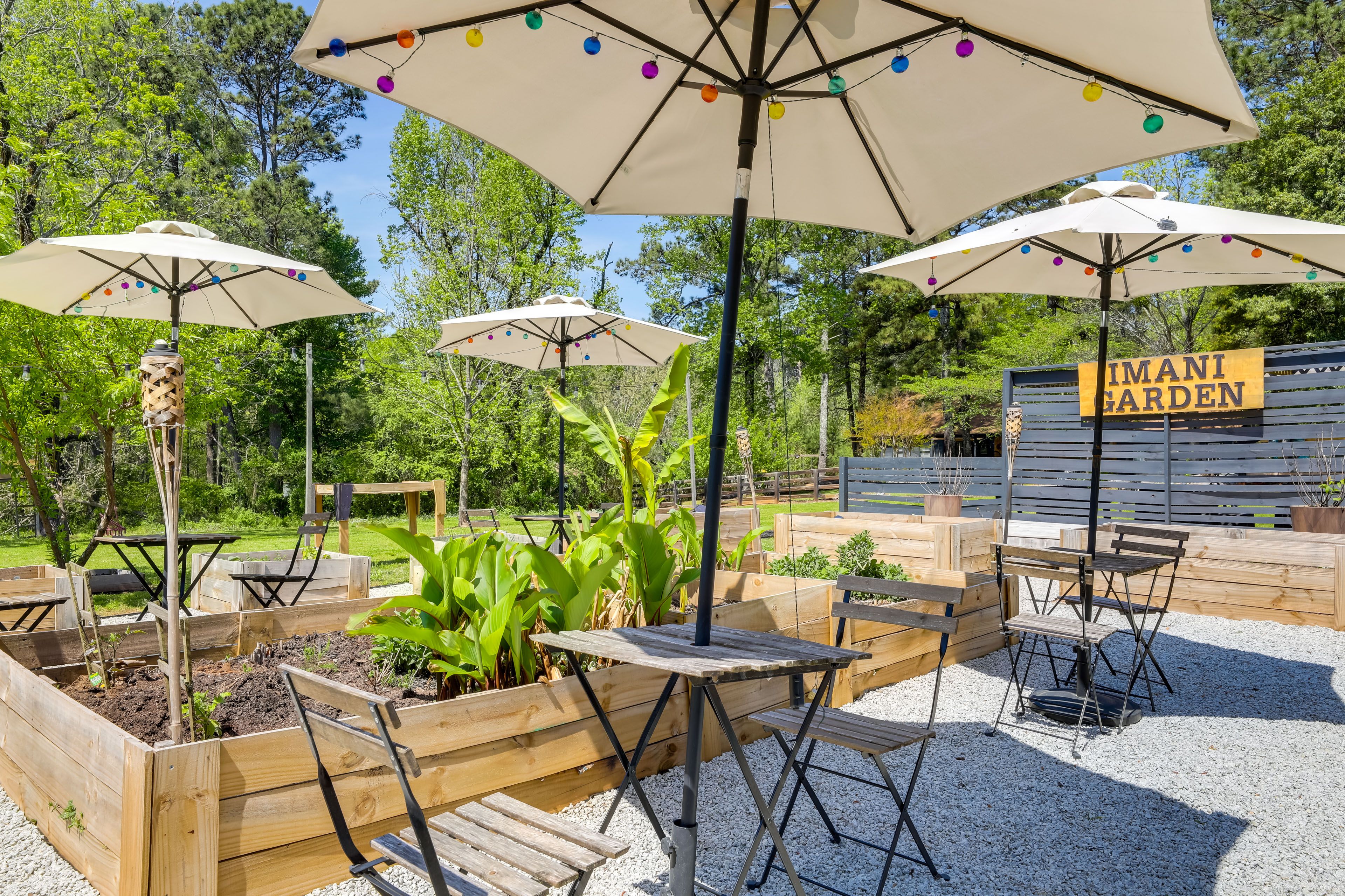Shared Amenities | Garden
