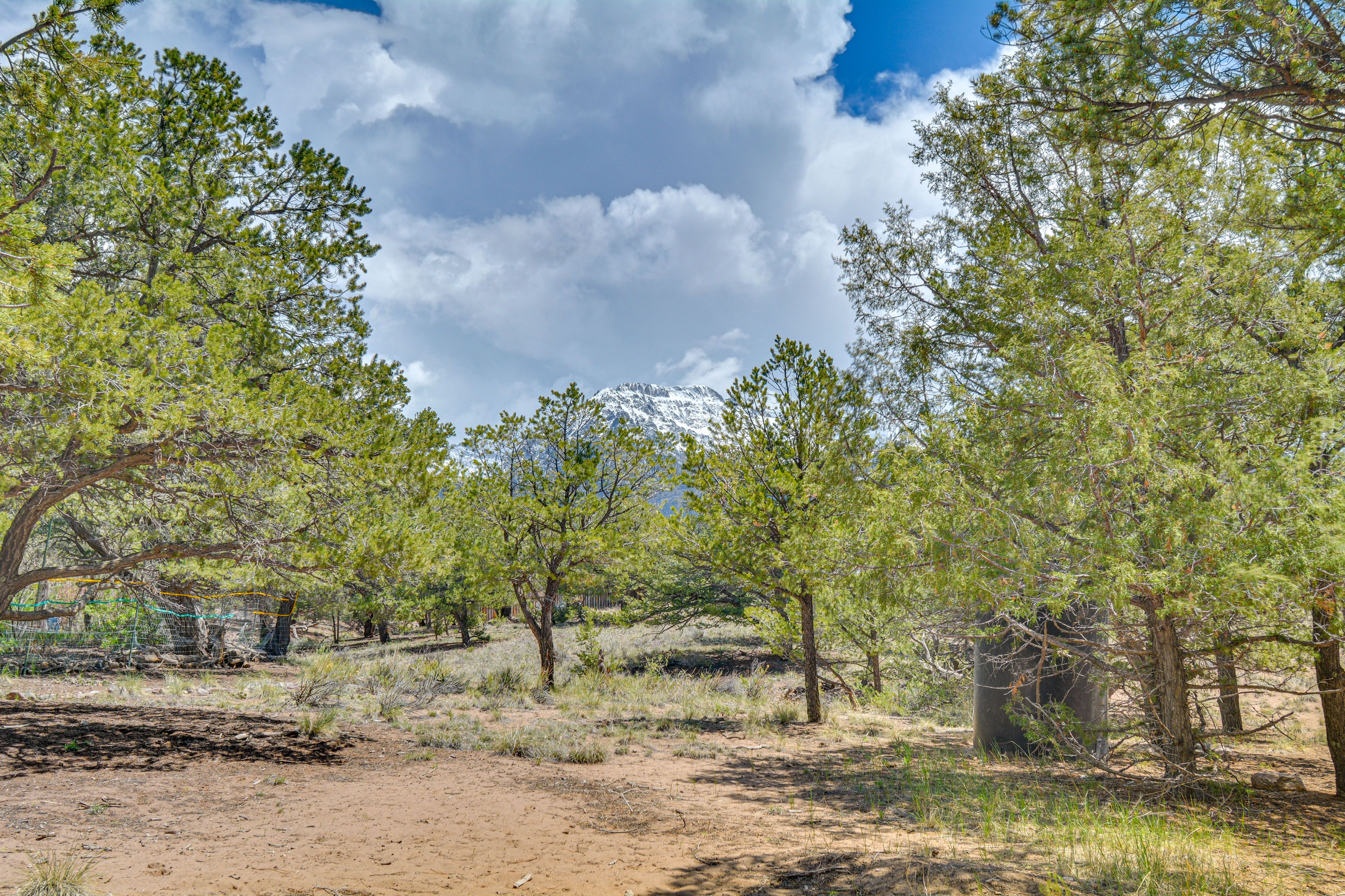 Surrounding Area