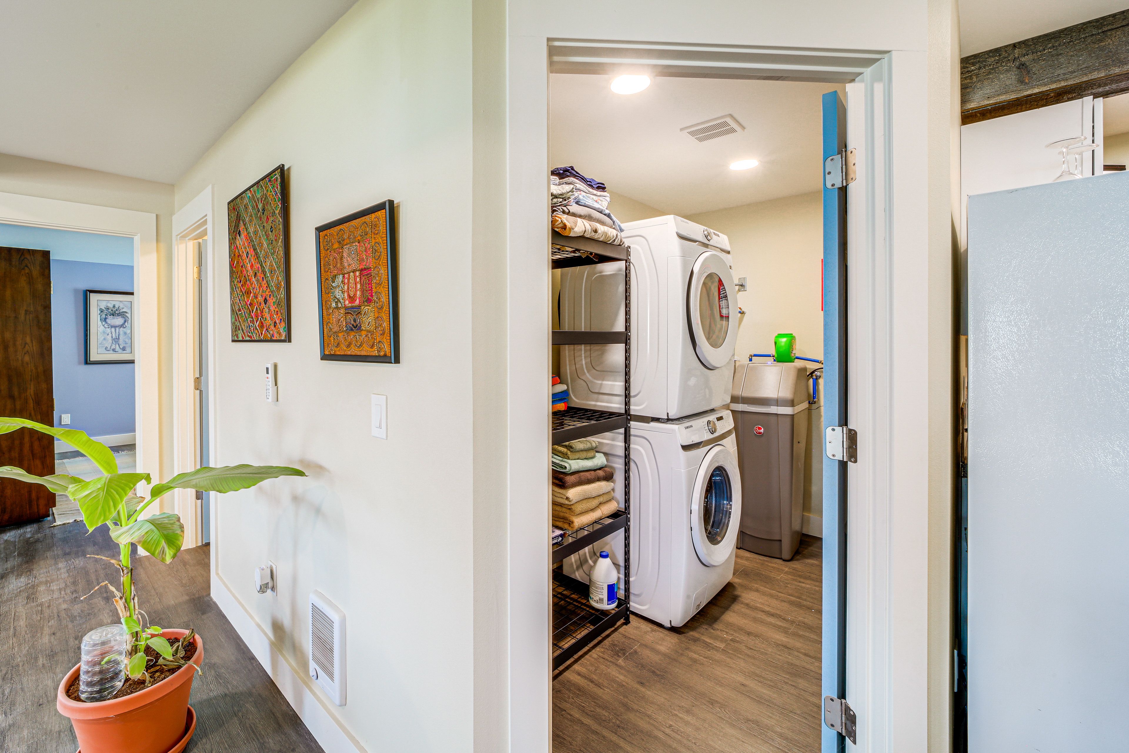 Laundry Area | Basement | Washer/Dryer | Laundry Detergent | Iron/Board