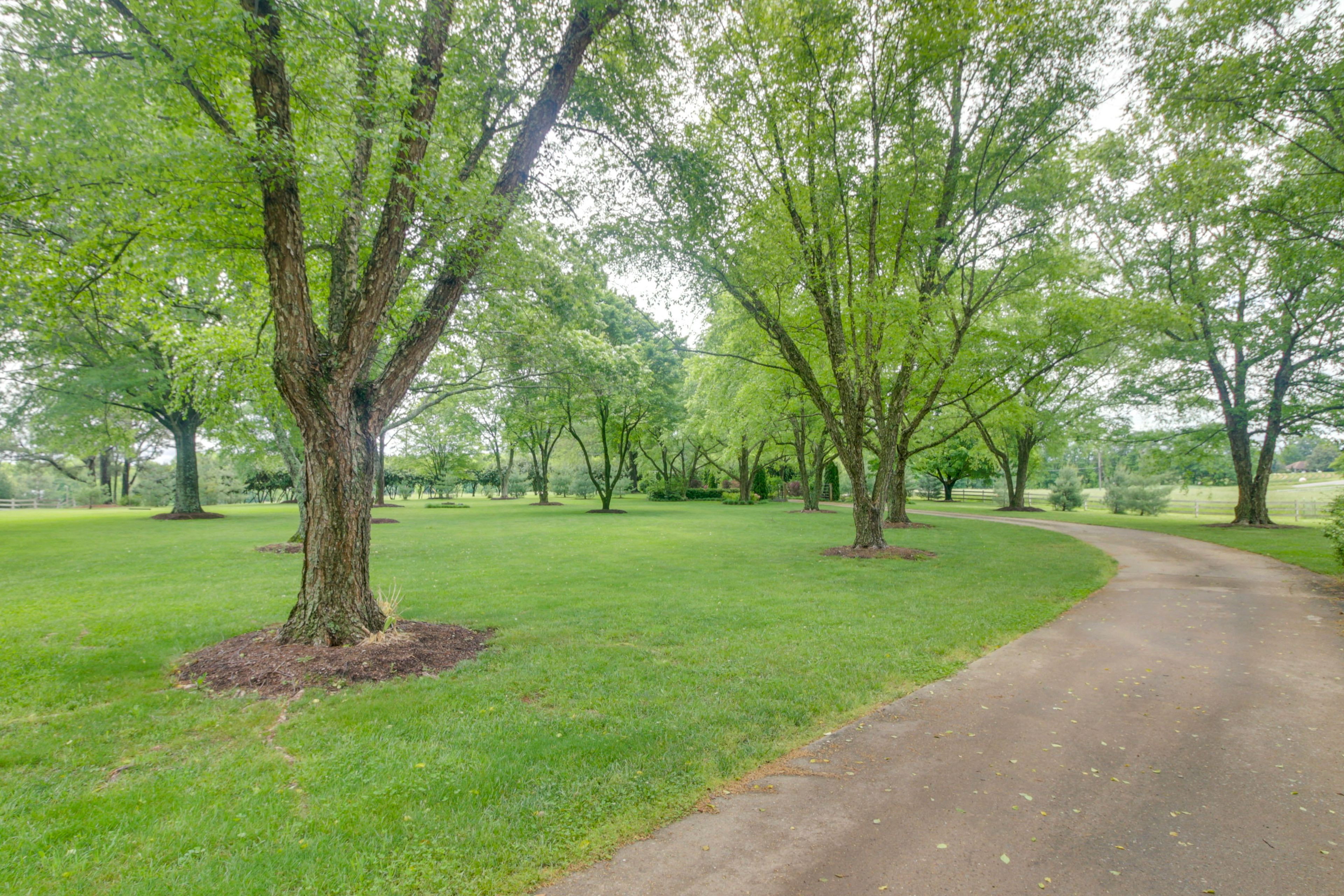 Property Surroundings