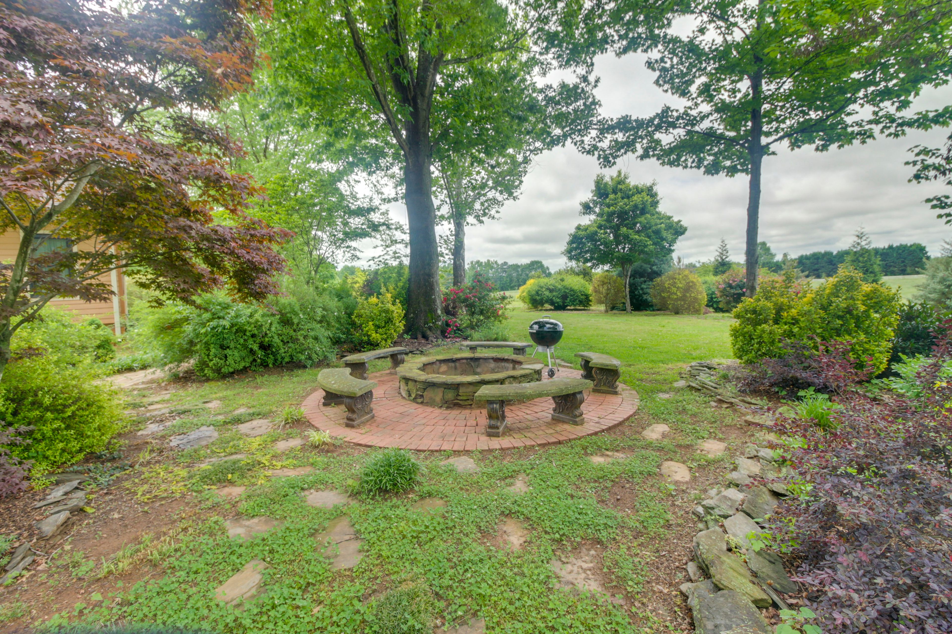 Image 19