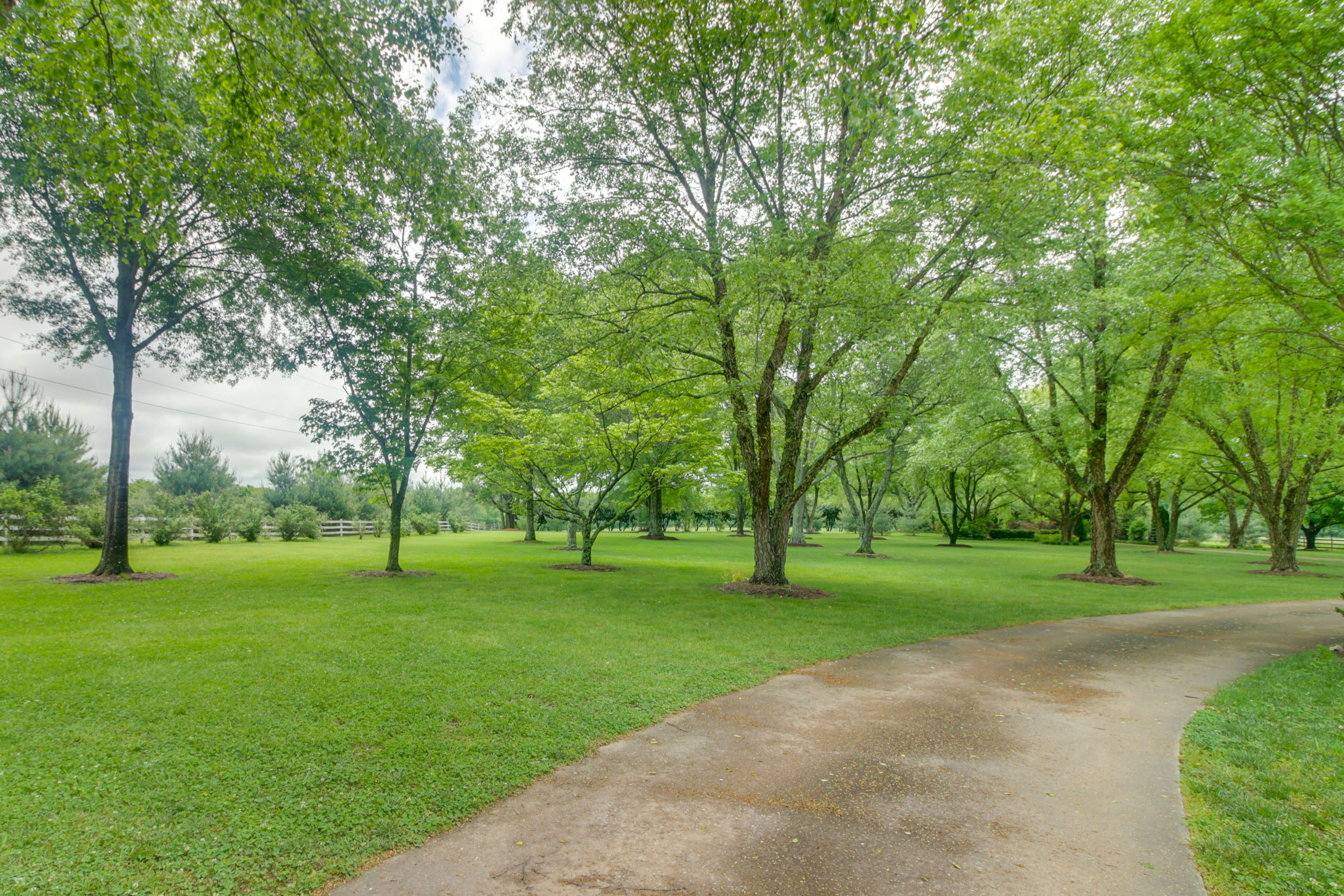 Property Surroundings
