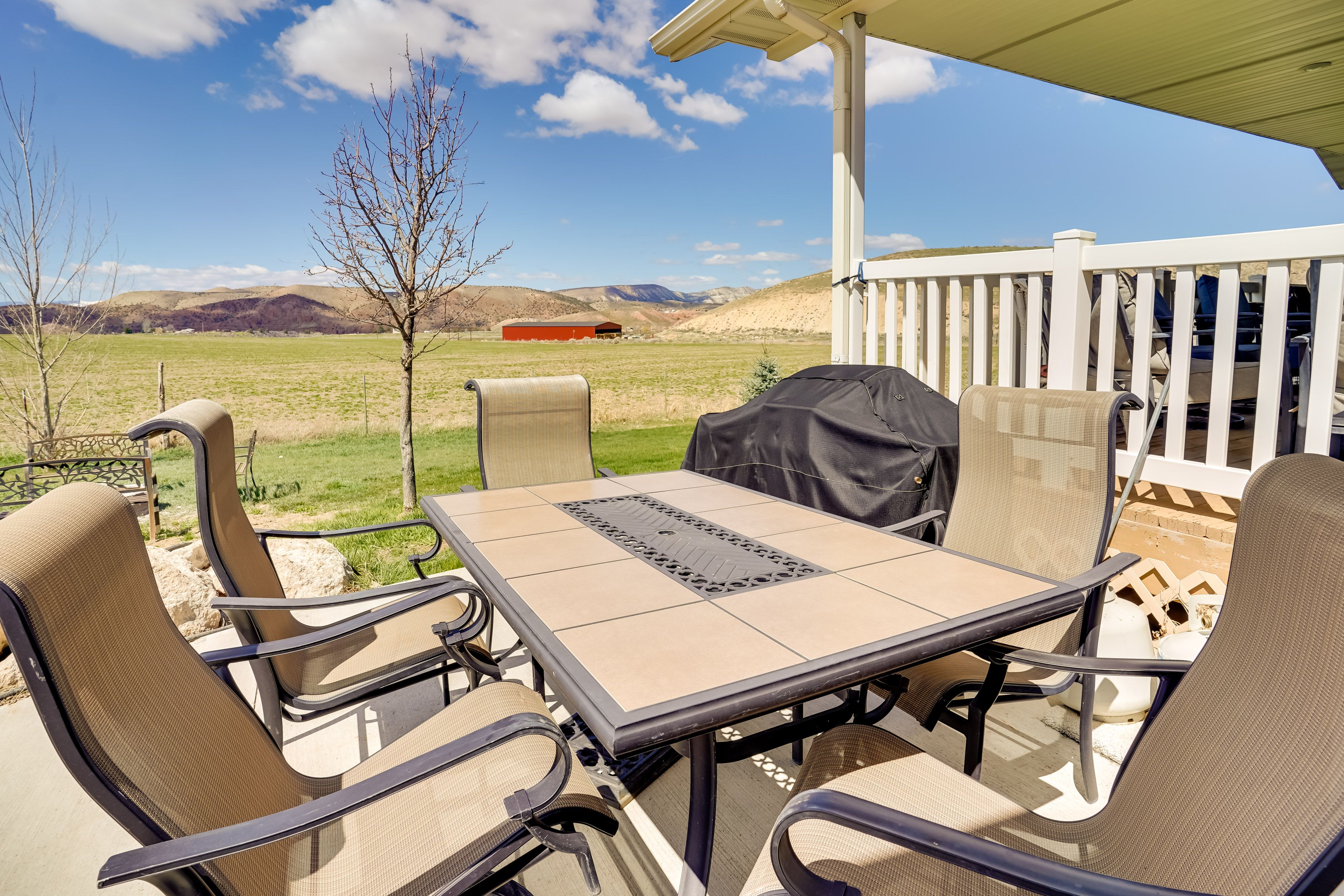 Patio | Gas Grill