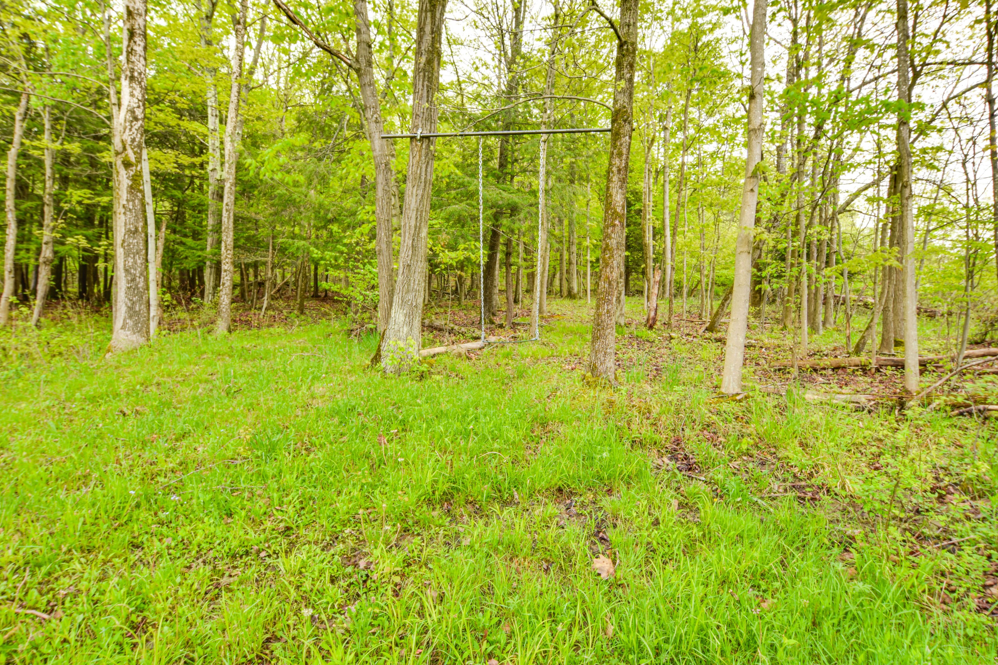 Tree Swing
