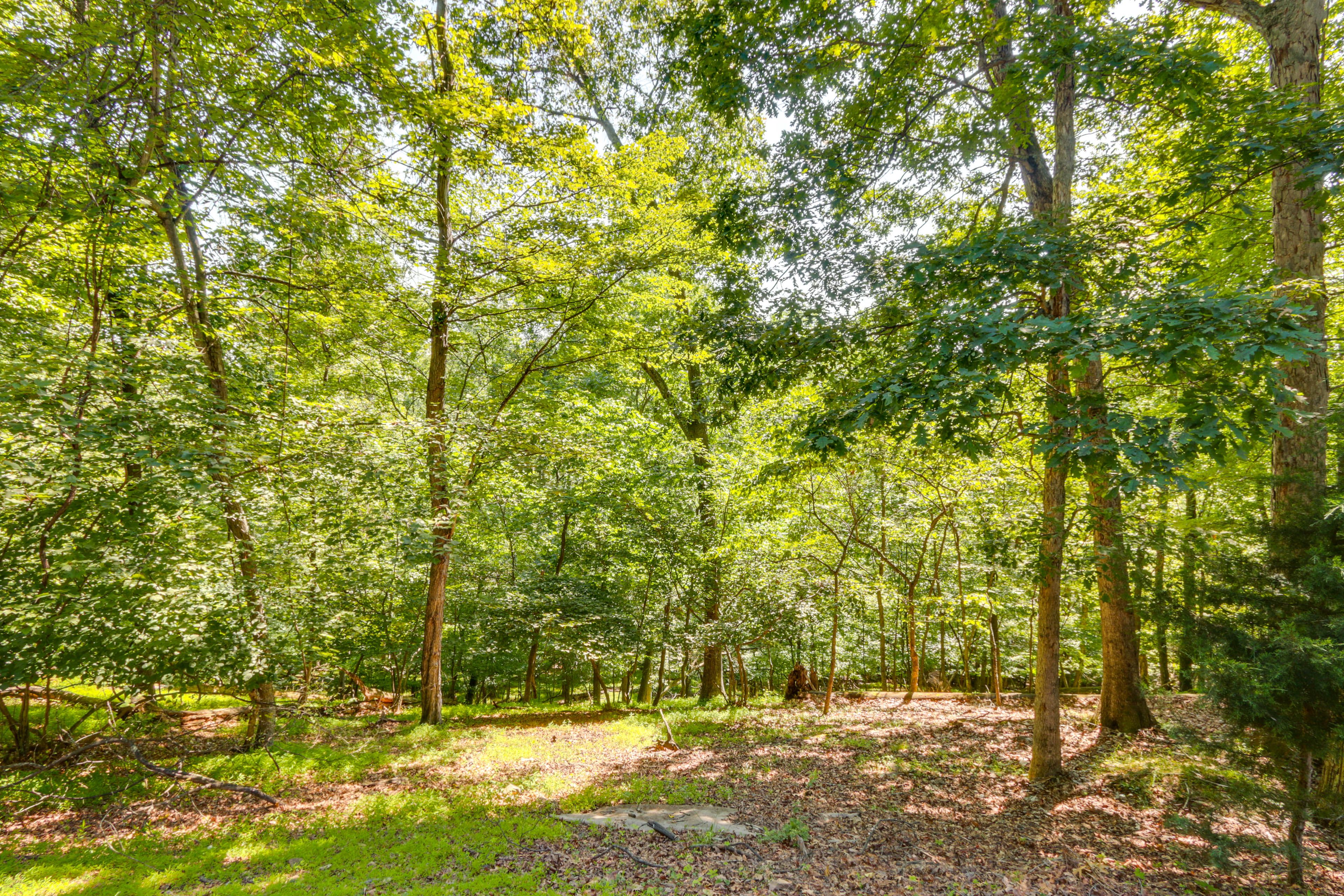 Property Surroundings
