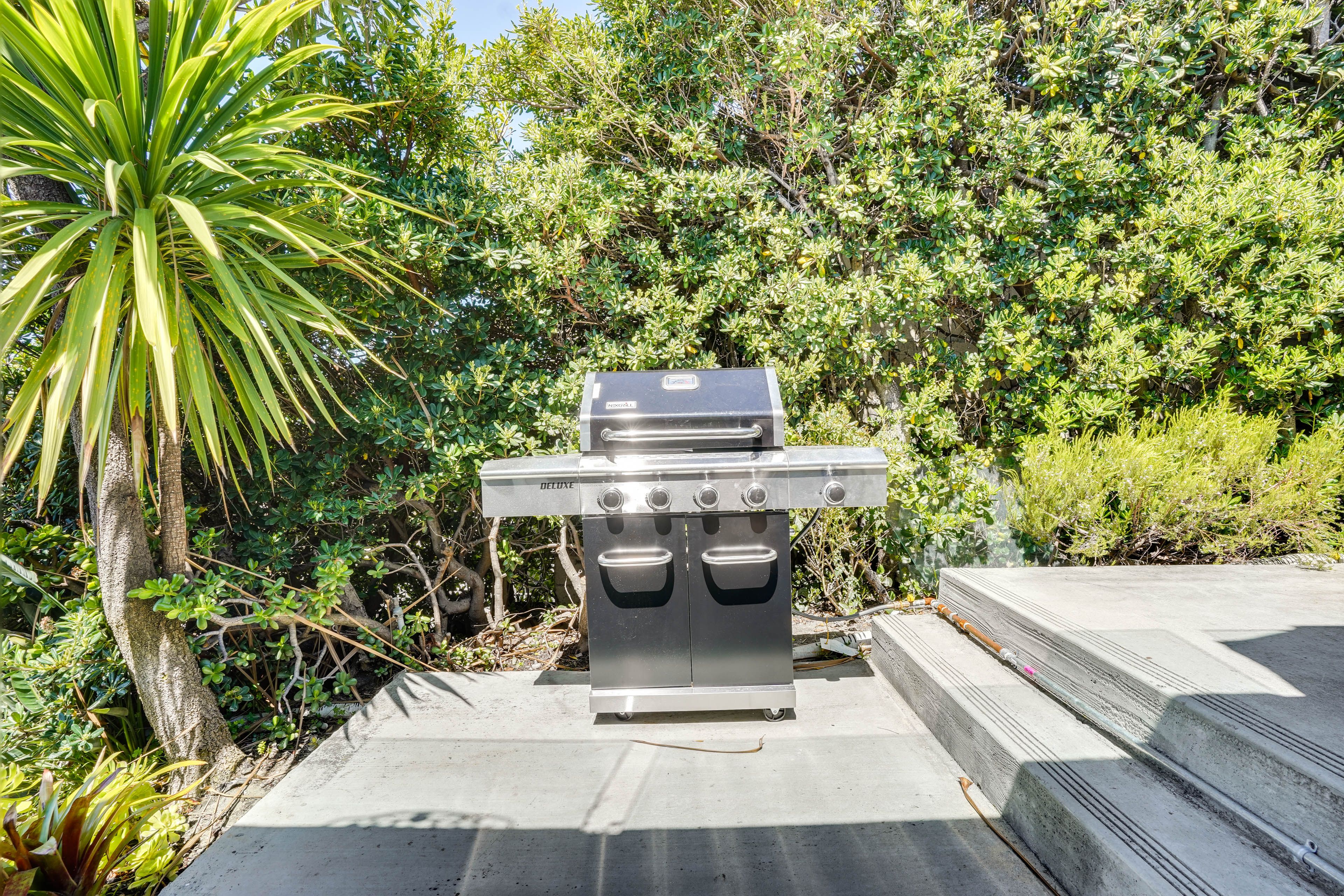 Gas Grill