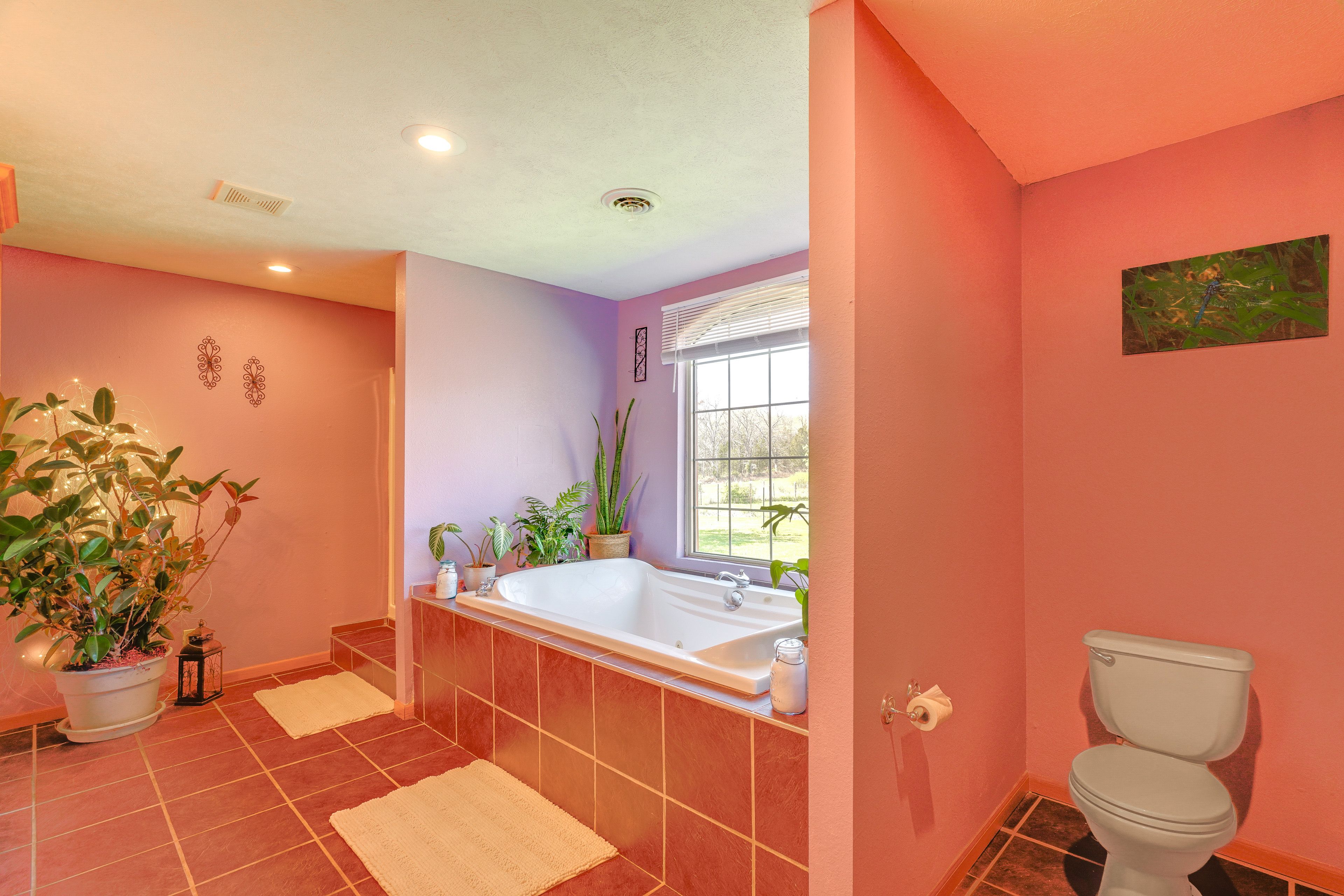 Bathroom | Complimentary Toiletries