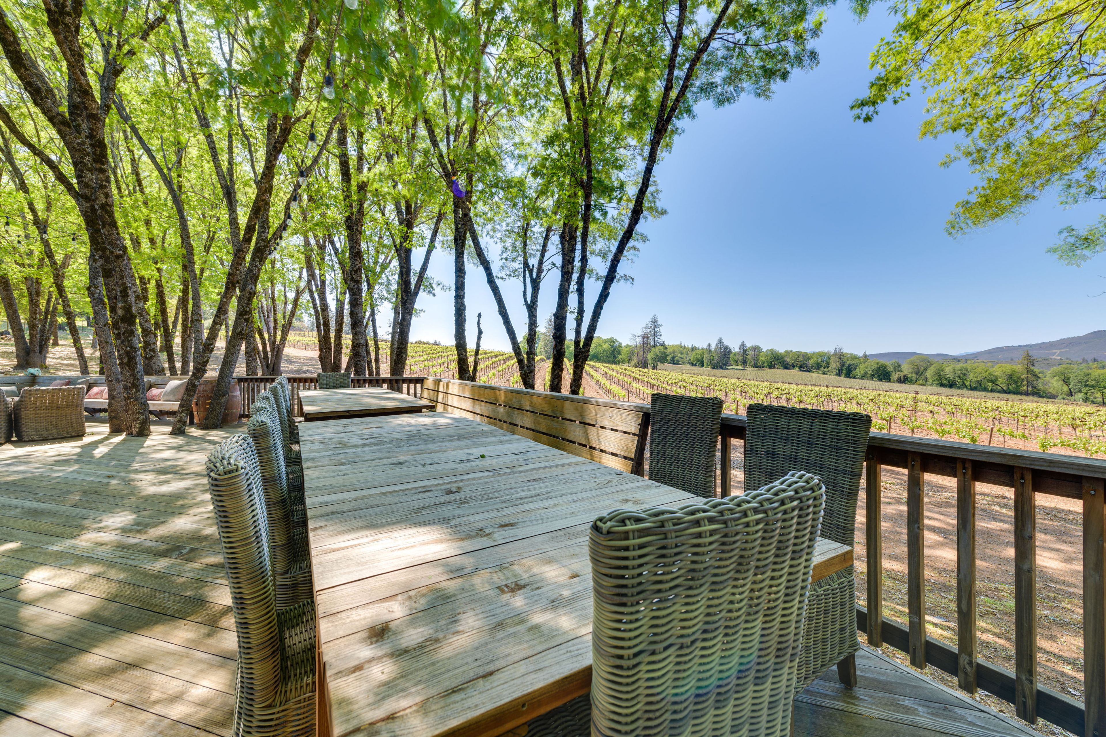 Back Deck | 2 Dining Tables | Lounge Space | Charcoal & Gas Grills