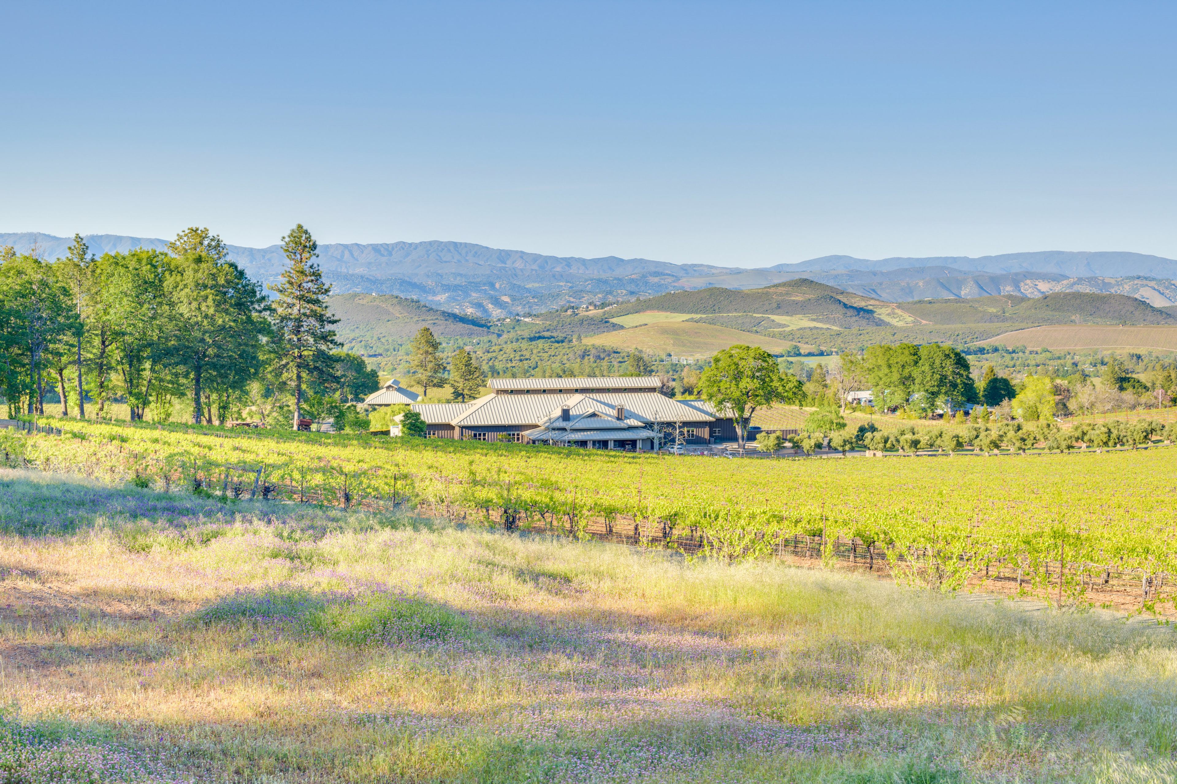 Vineyard & Mountain Views | ~11 Mi to Mount Konocti