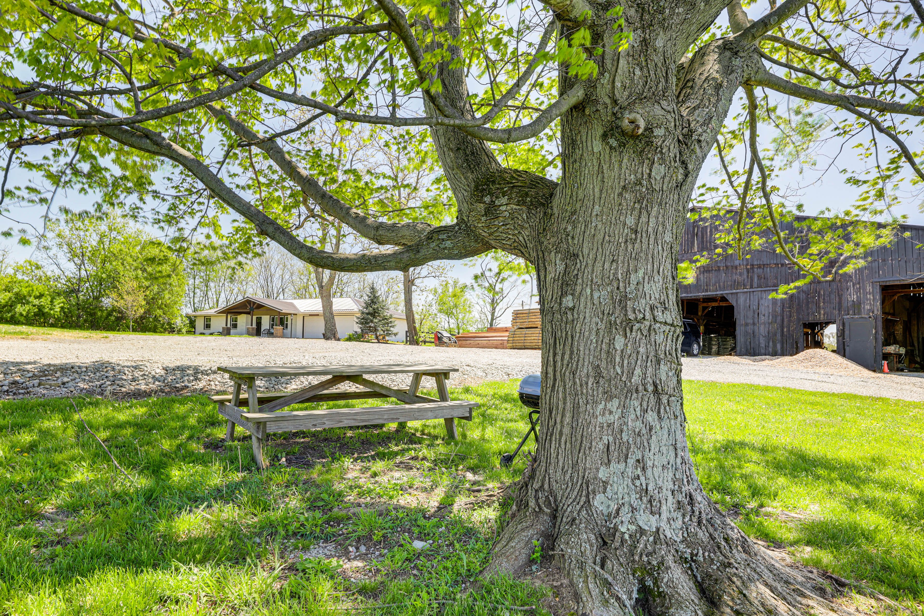 Picnic Area | Charcoal Grill | Pond View
