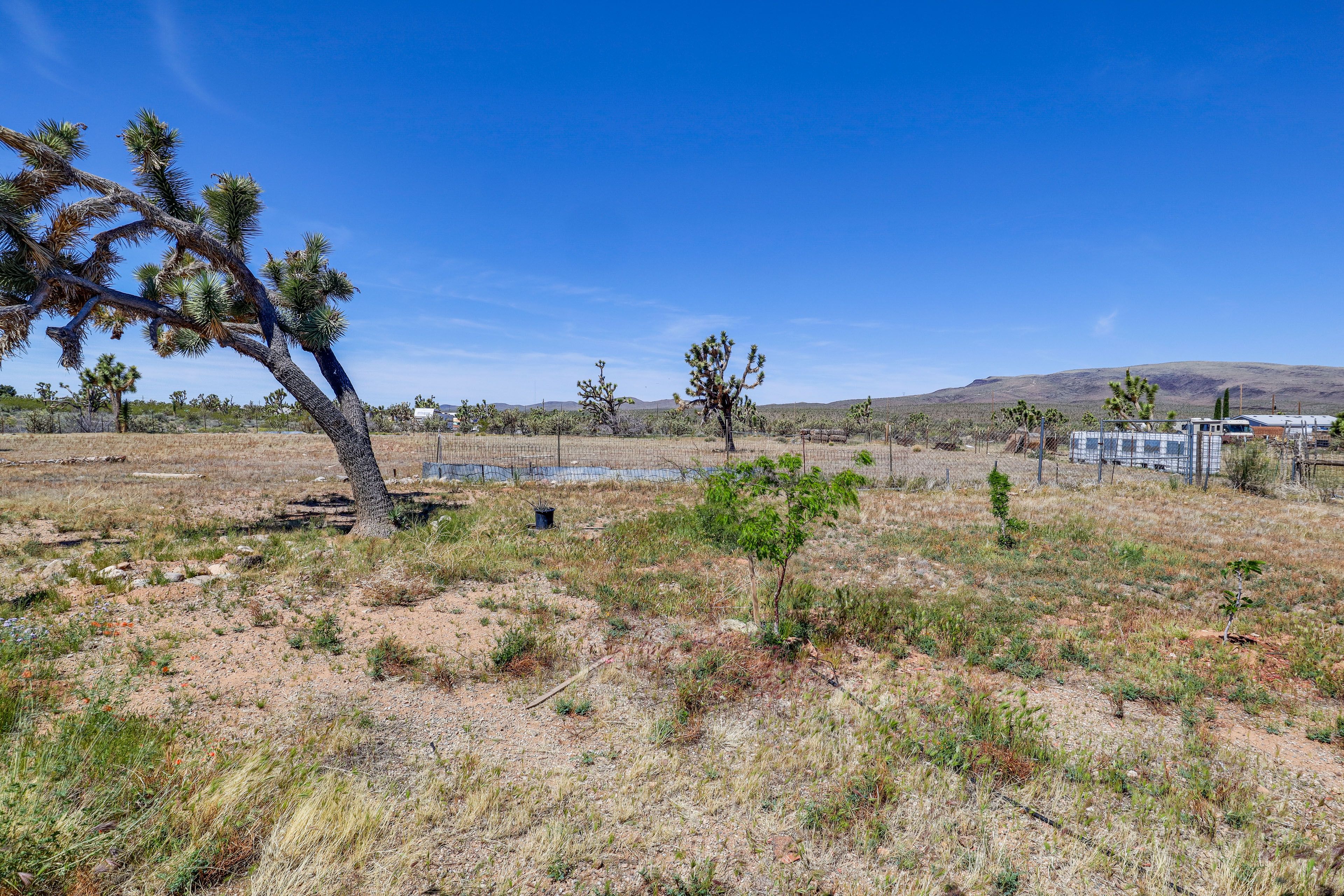 Property Surroundings | Mountain Views