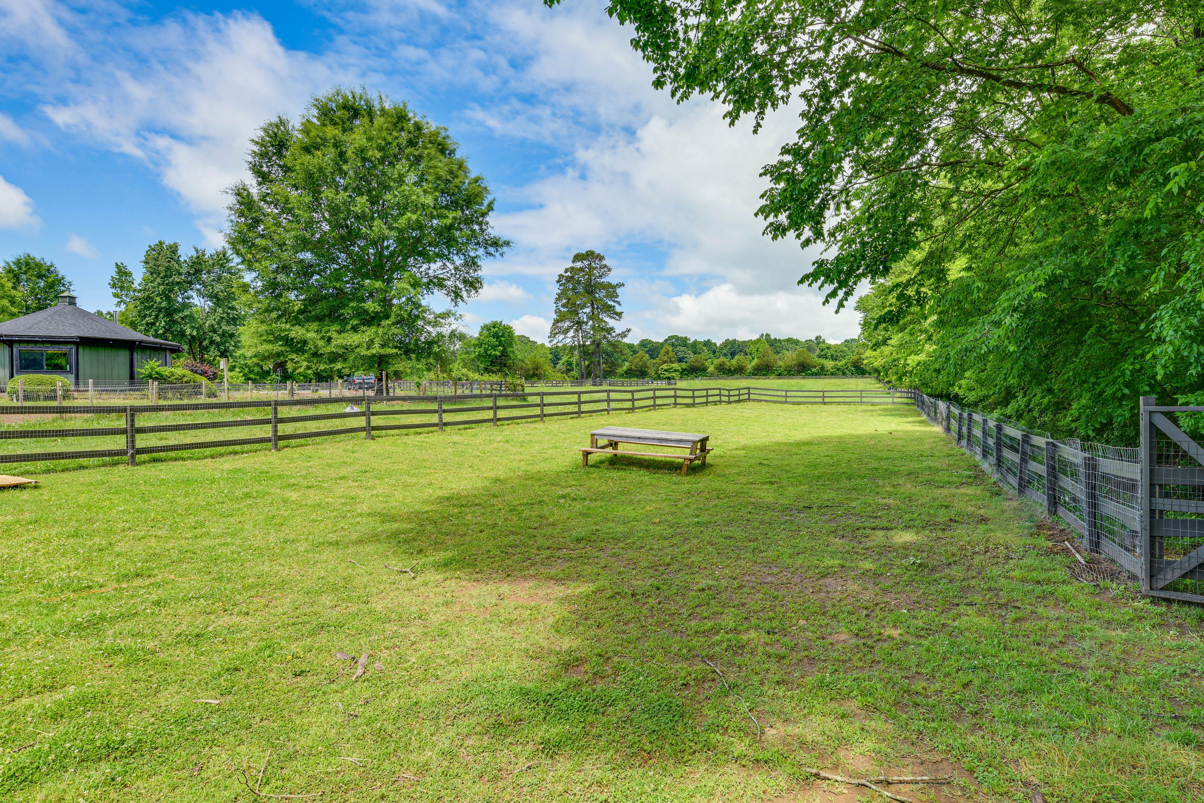 Spacious Yard Area