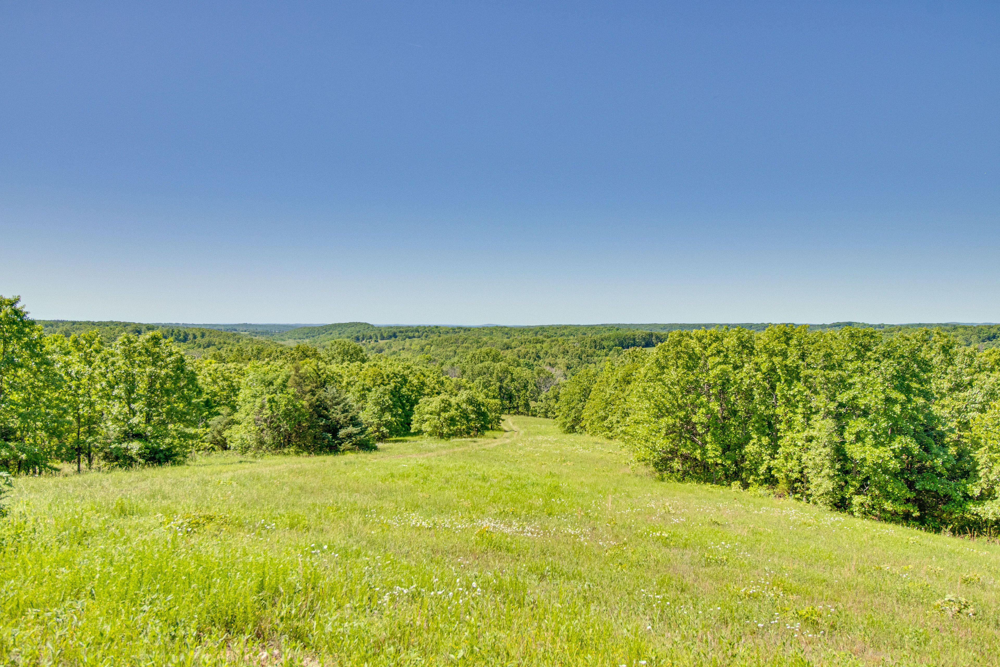 77-Acre Yard | Valley Views