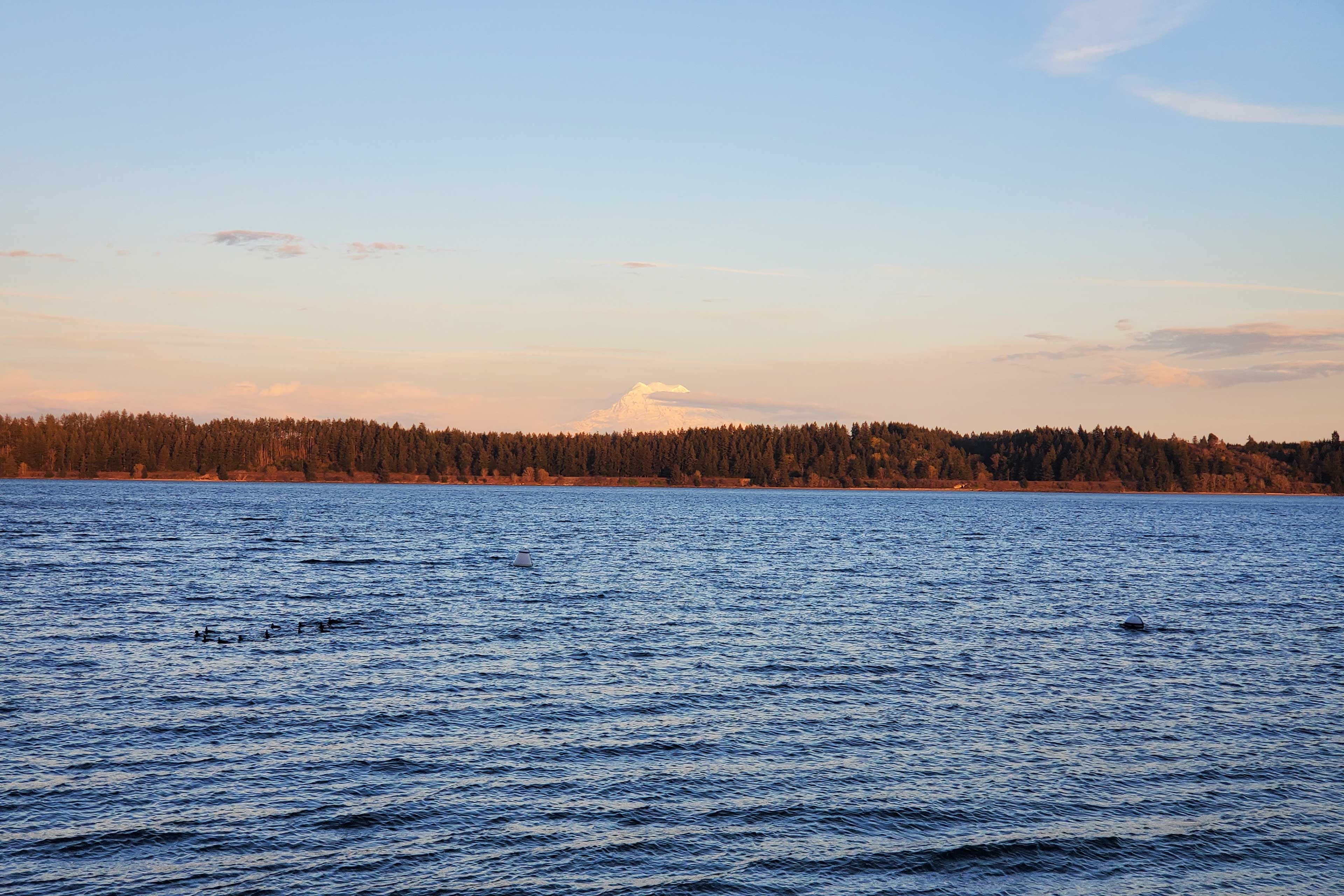 Image 32