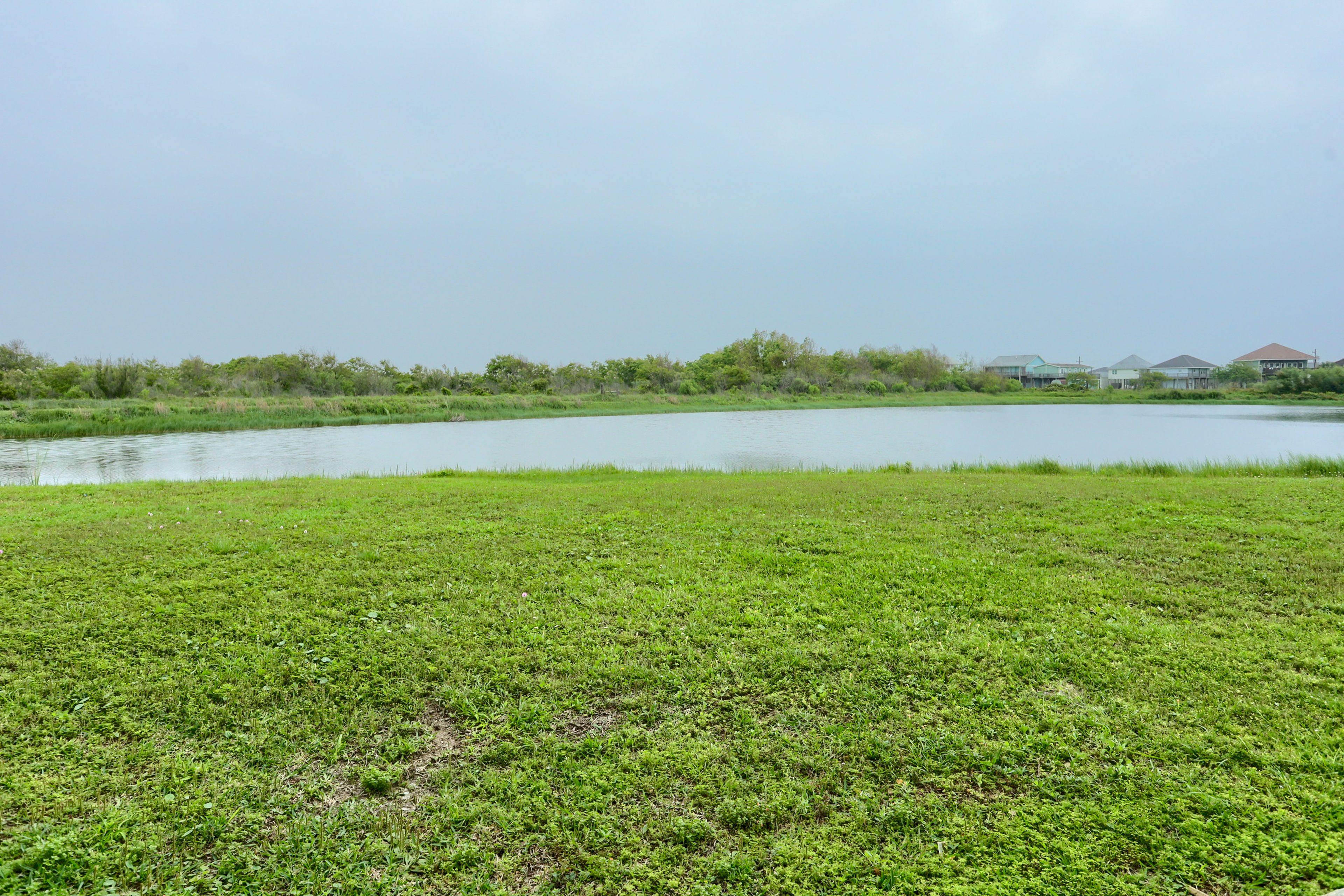 On-Site Pond & Bird Sanctuary