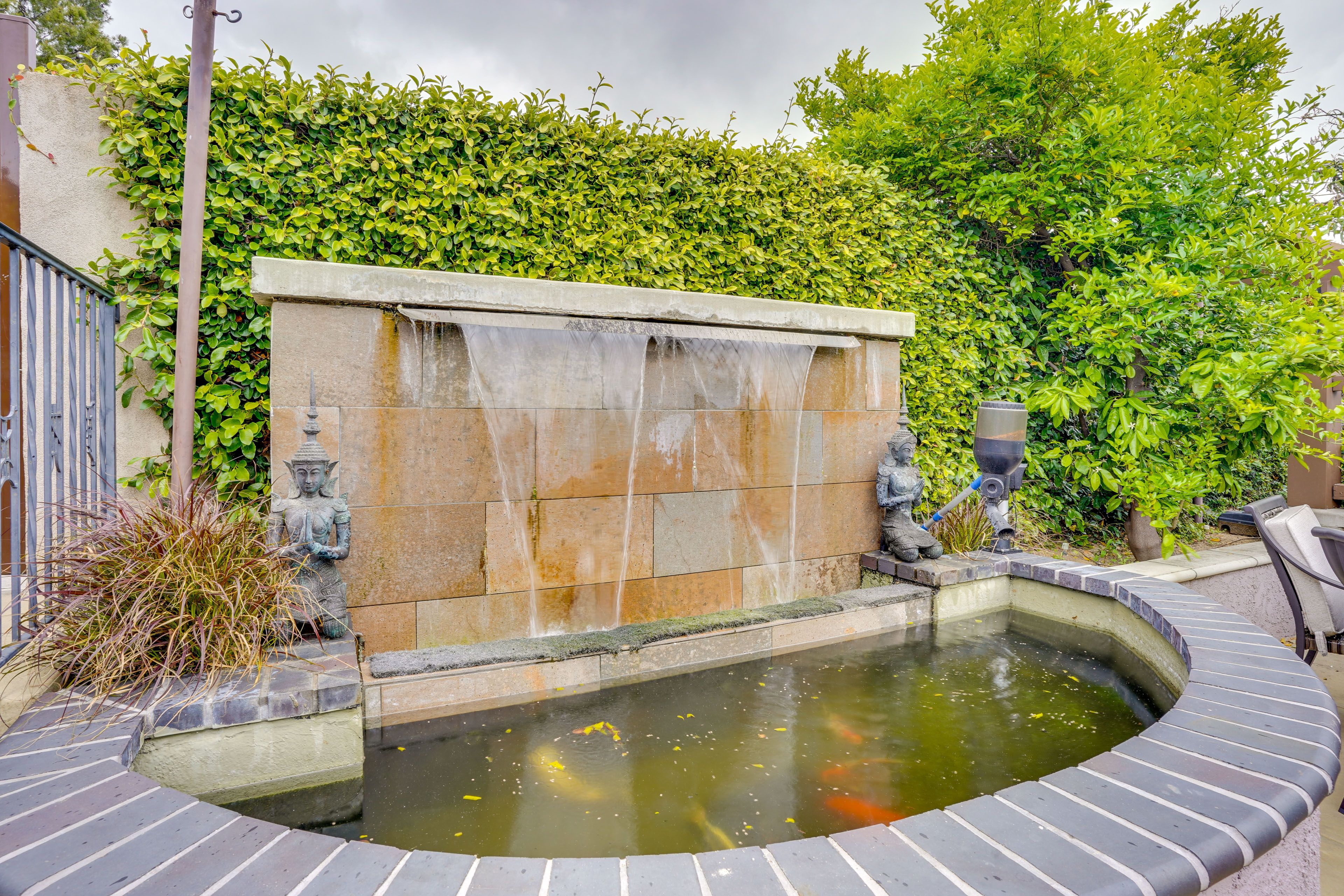 Koi Pond