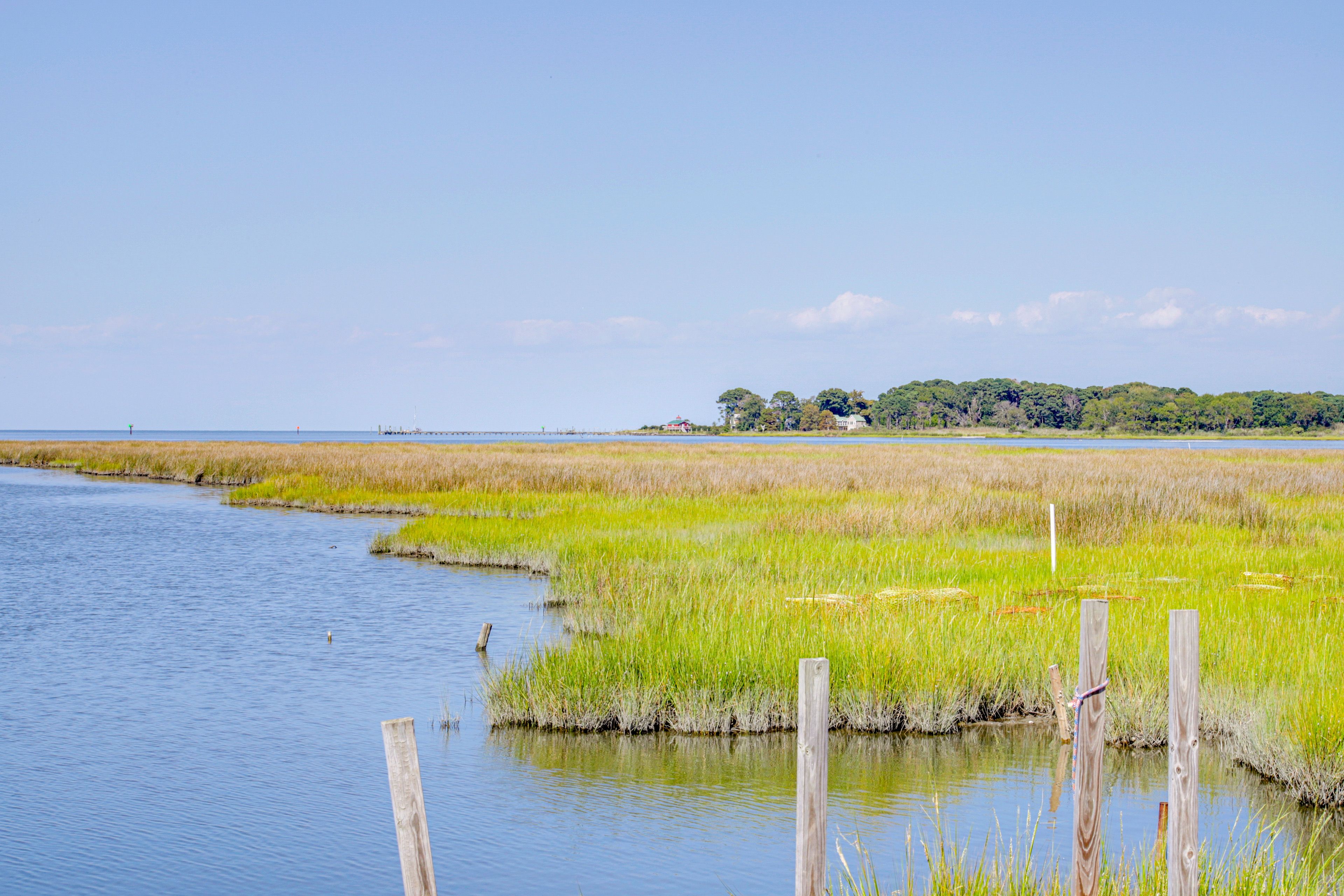 Chesapeake Bay Views