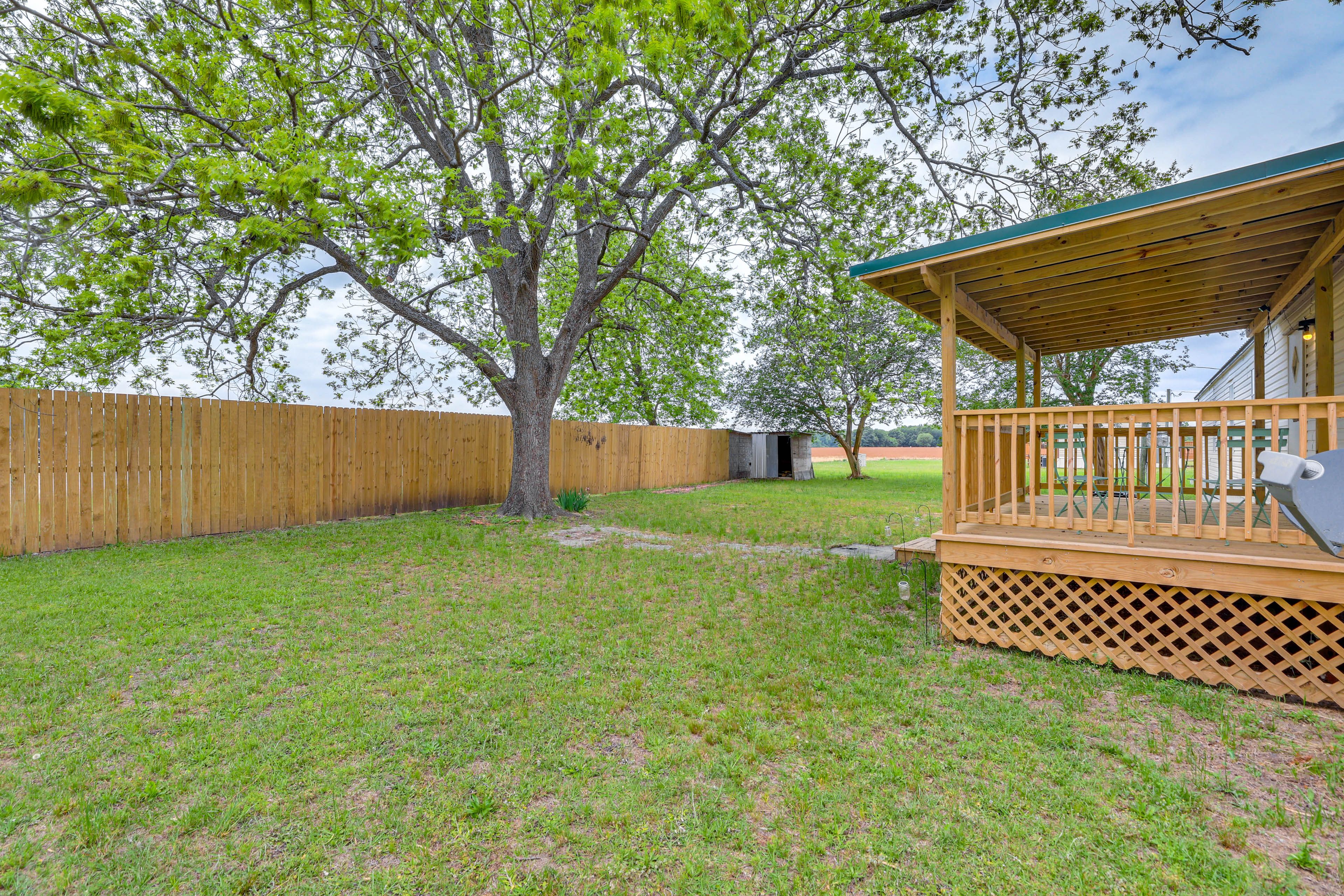 Backyard