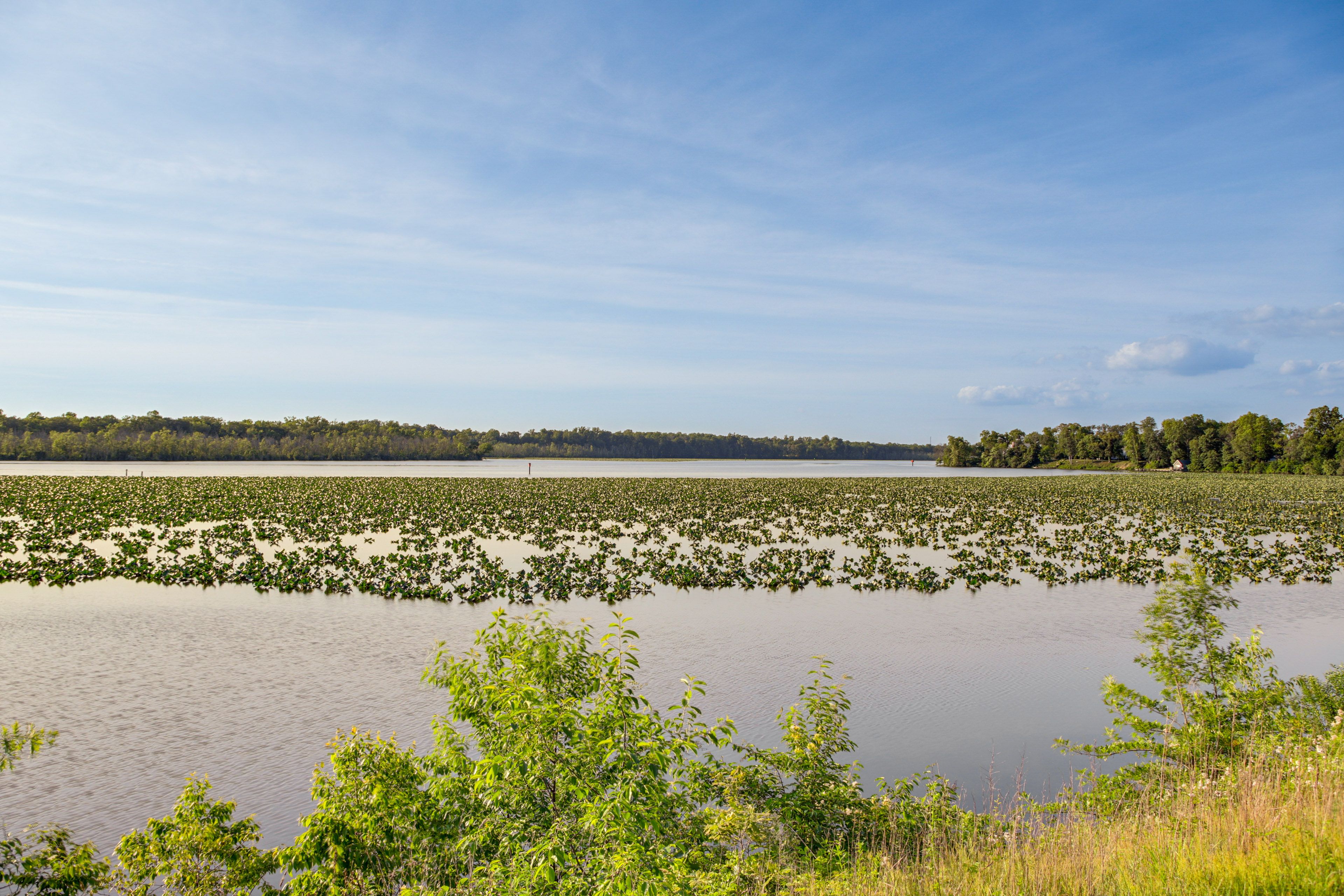 On-Site River Access