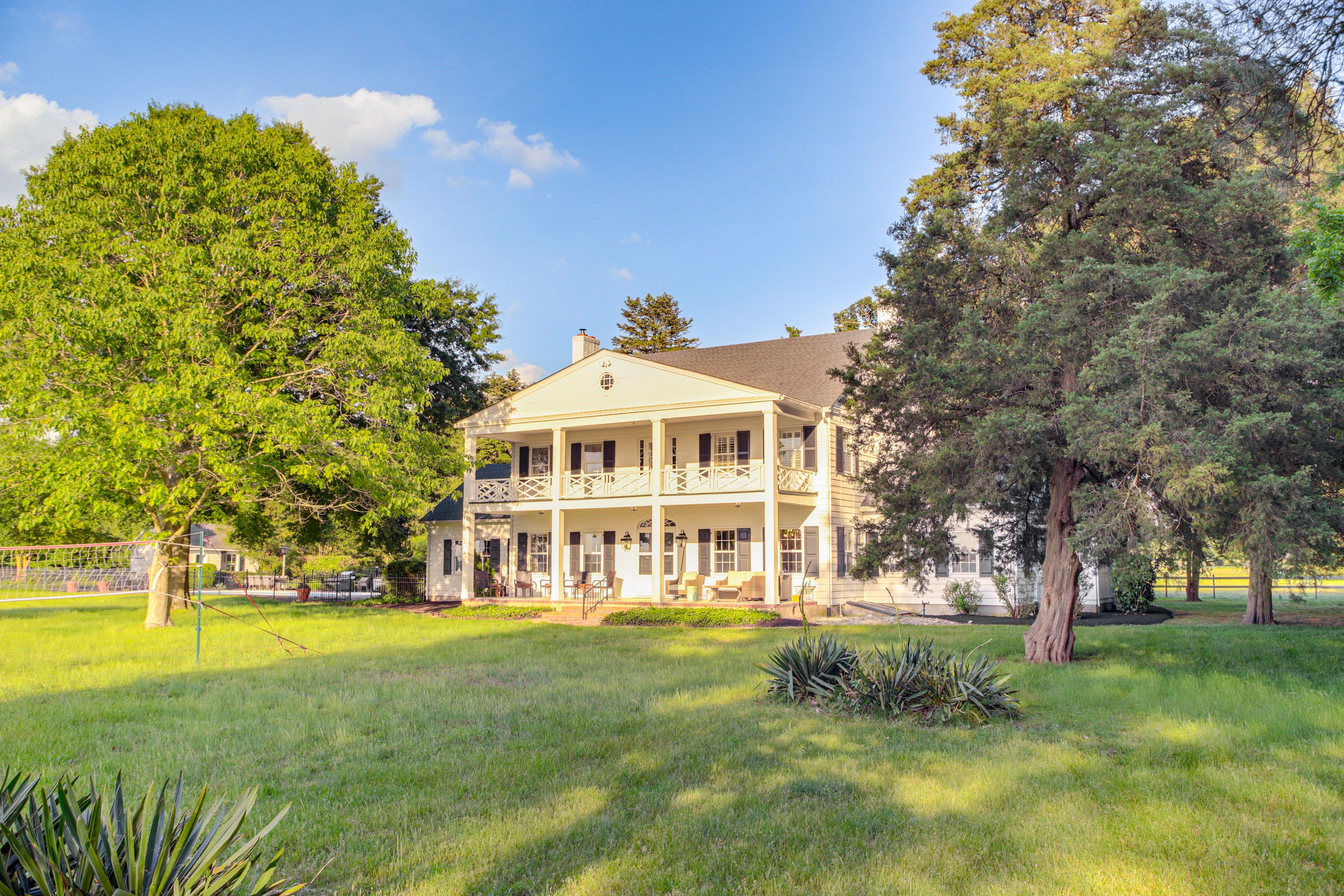 Front Yard | Volleyball Net
