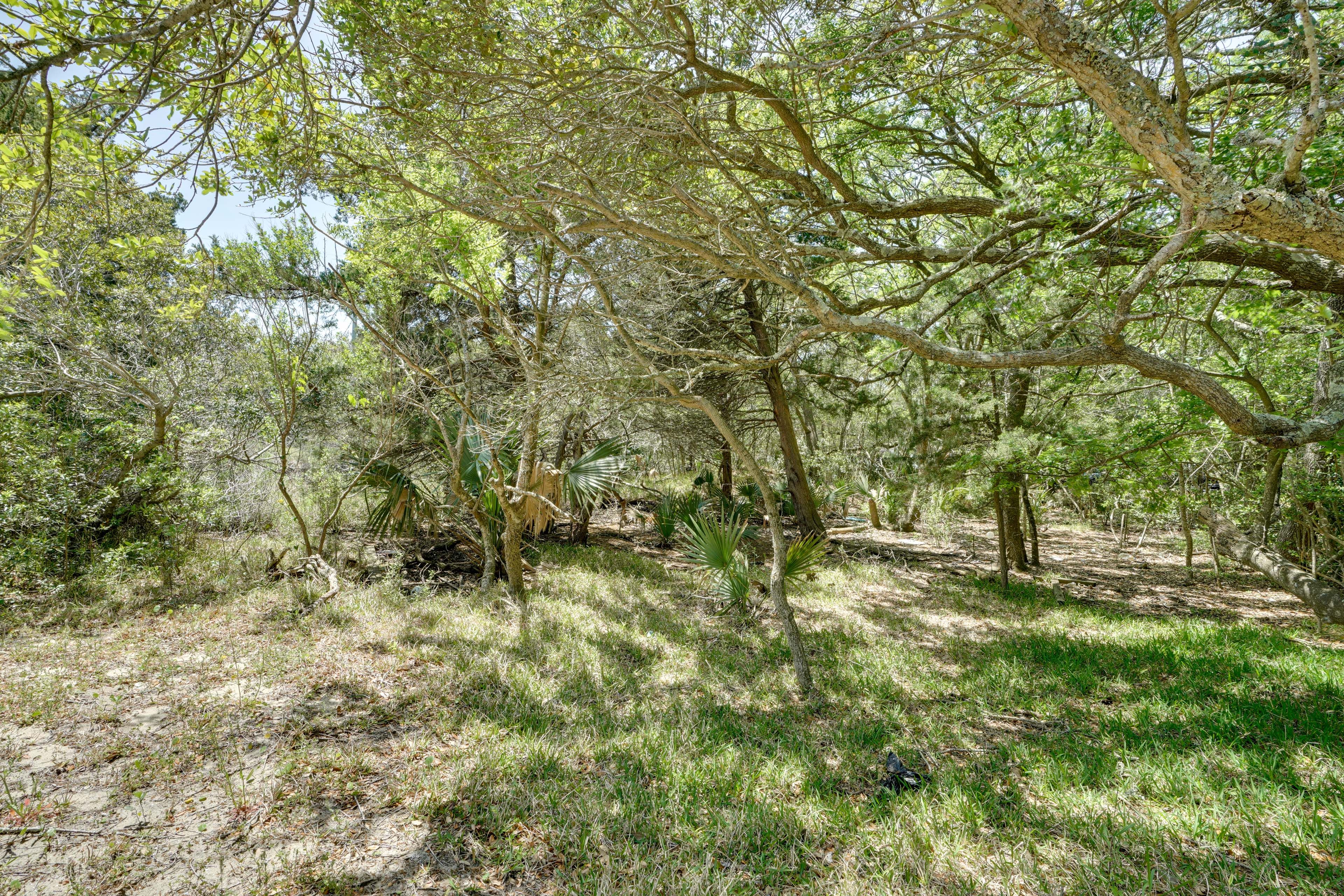 Surrounding Nature