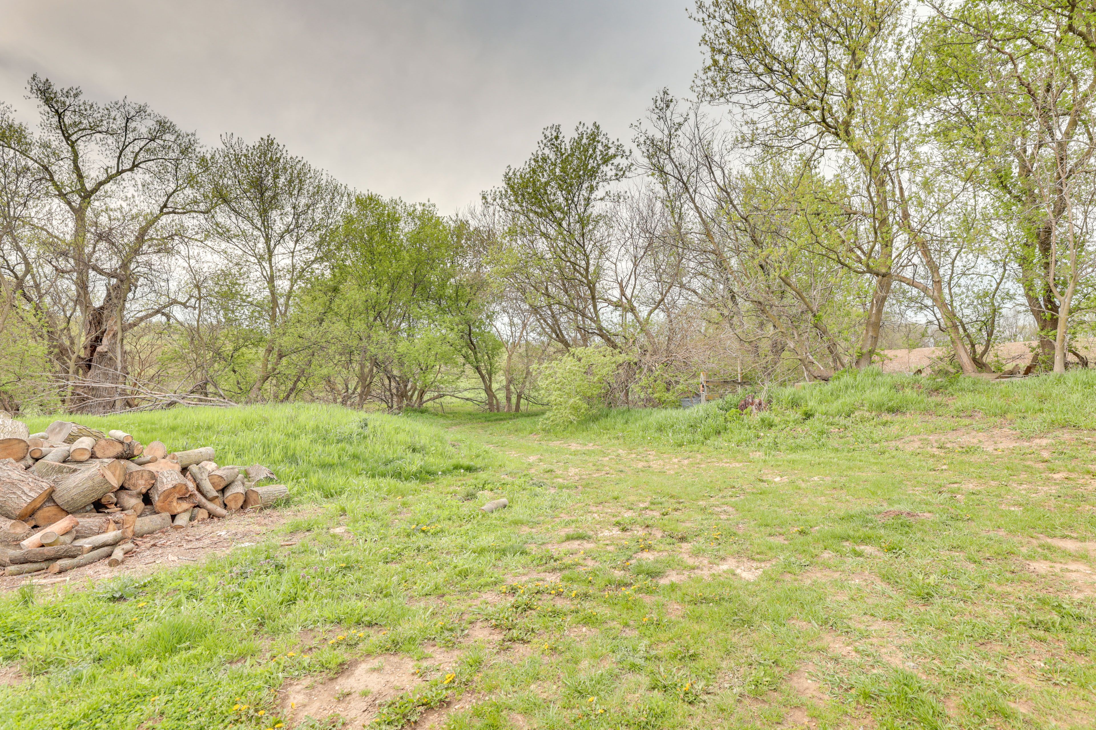 Image 25