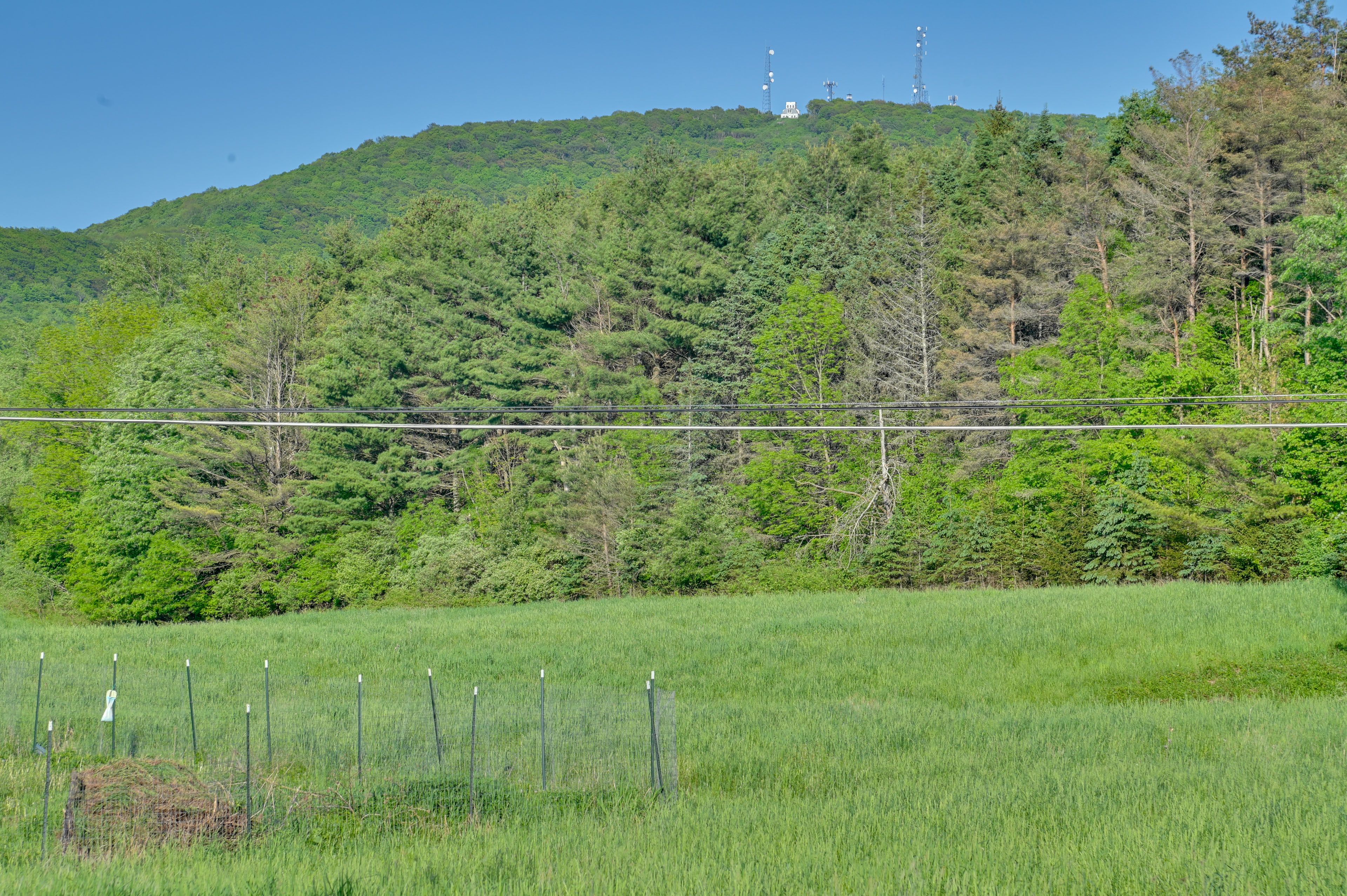Image 25