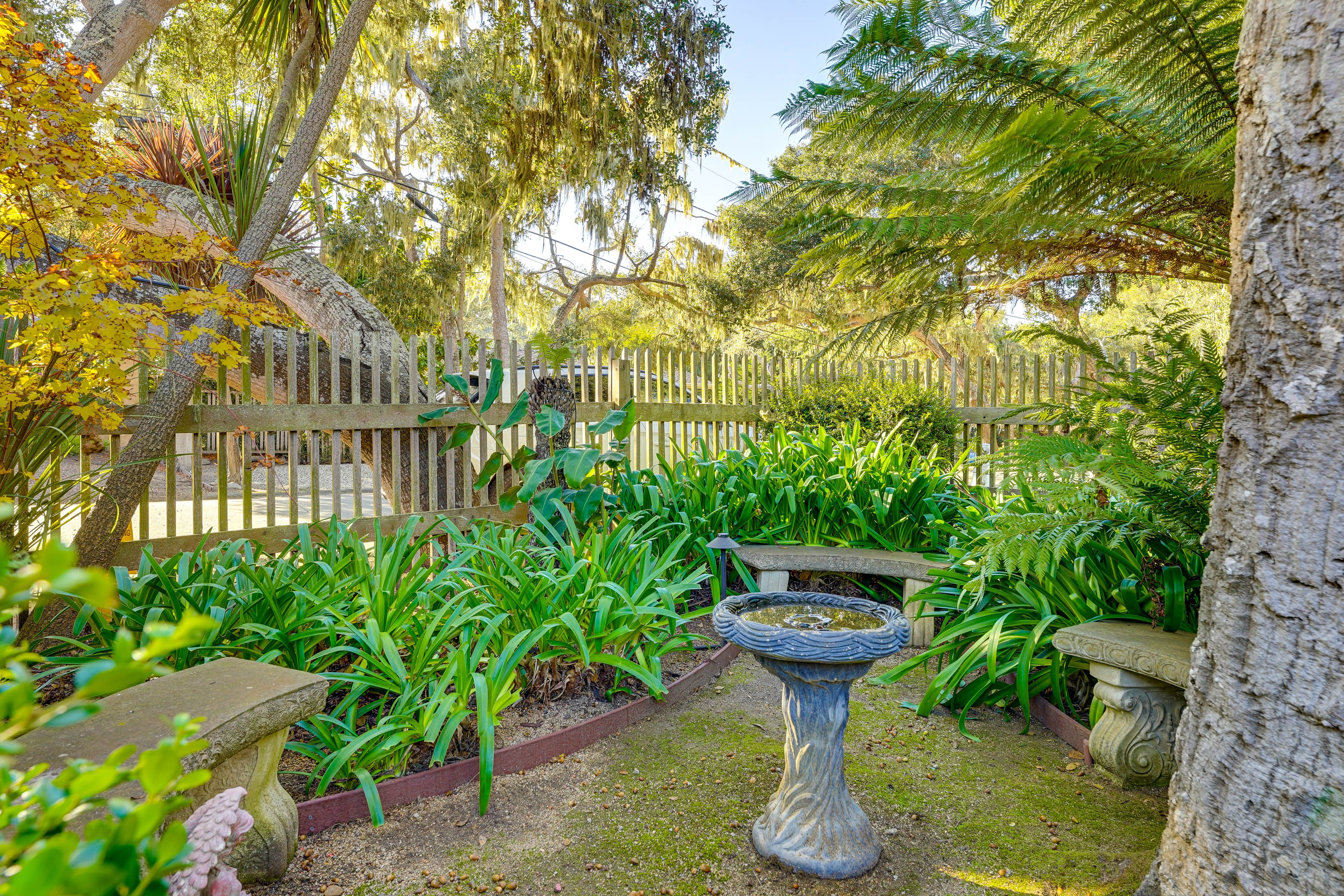 Manicured Lawn