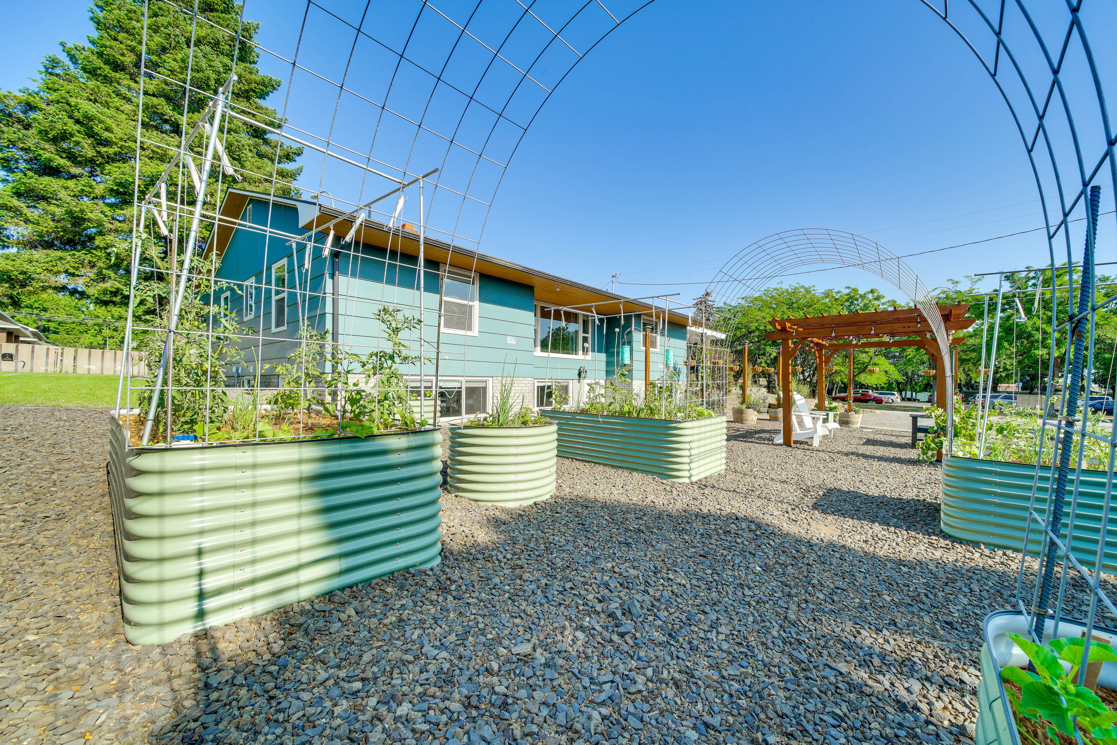 Garden