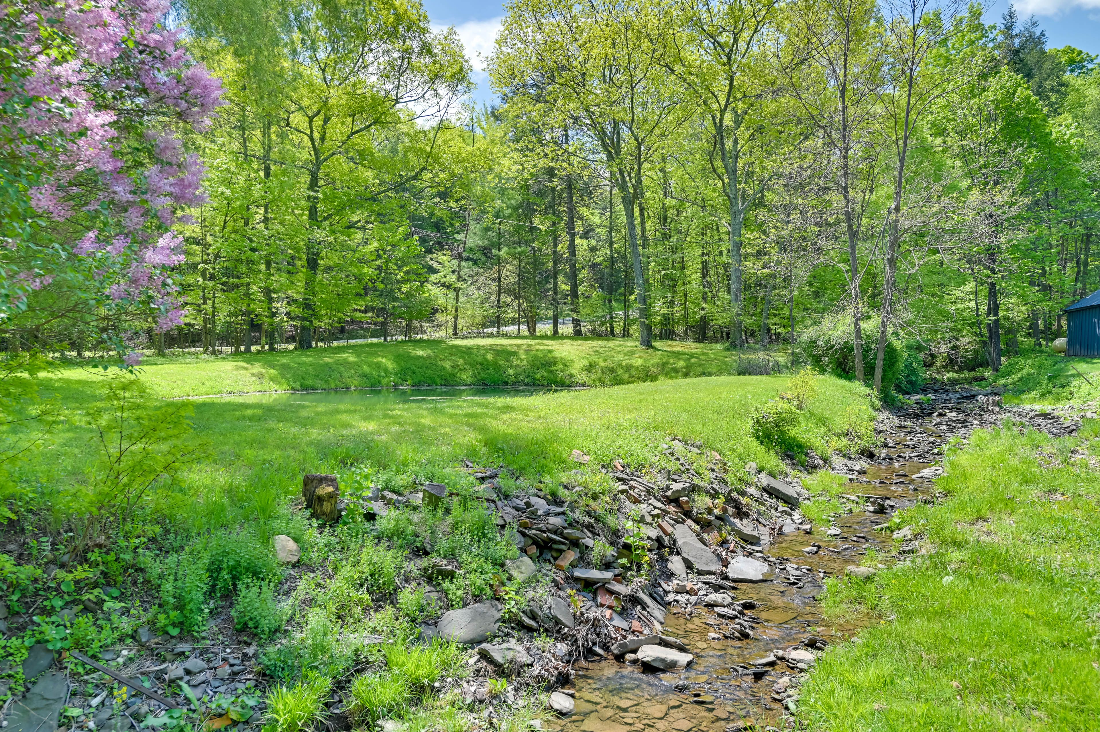 Babbling Brooks