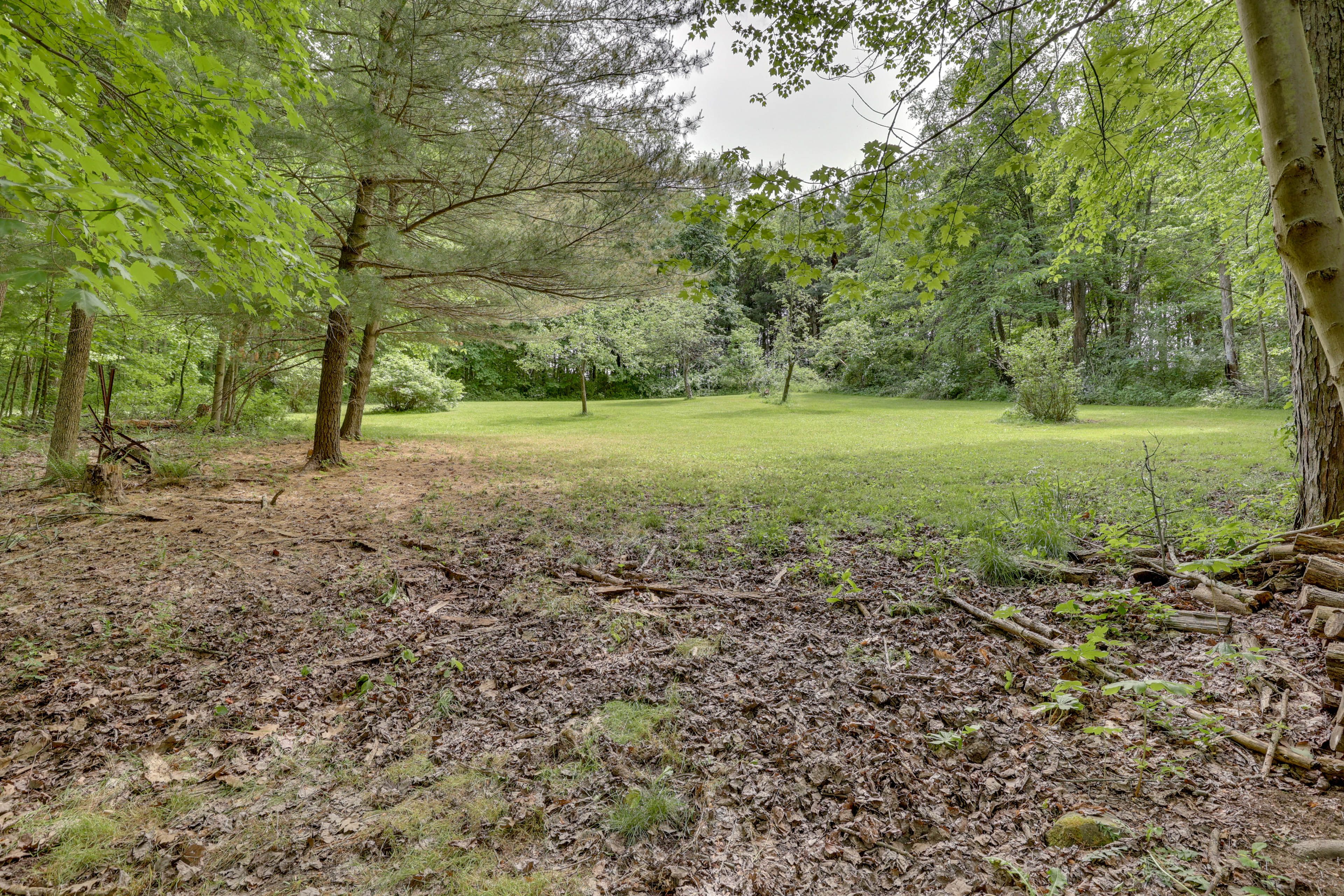 Surrounding Property