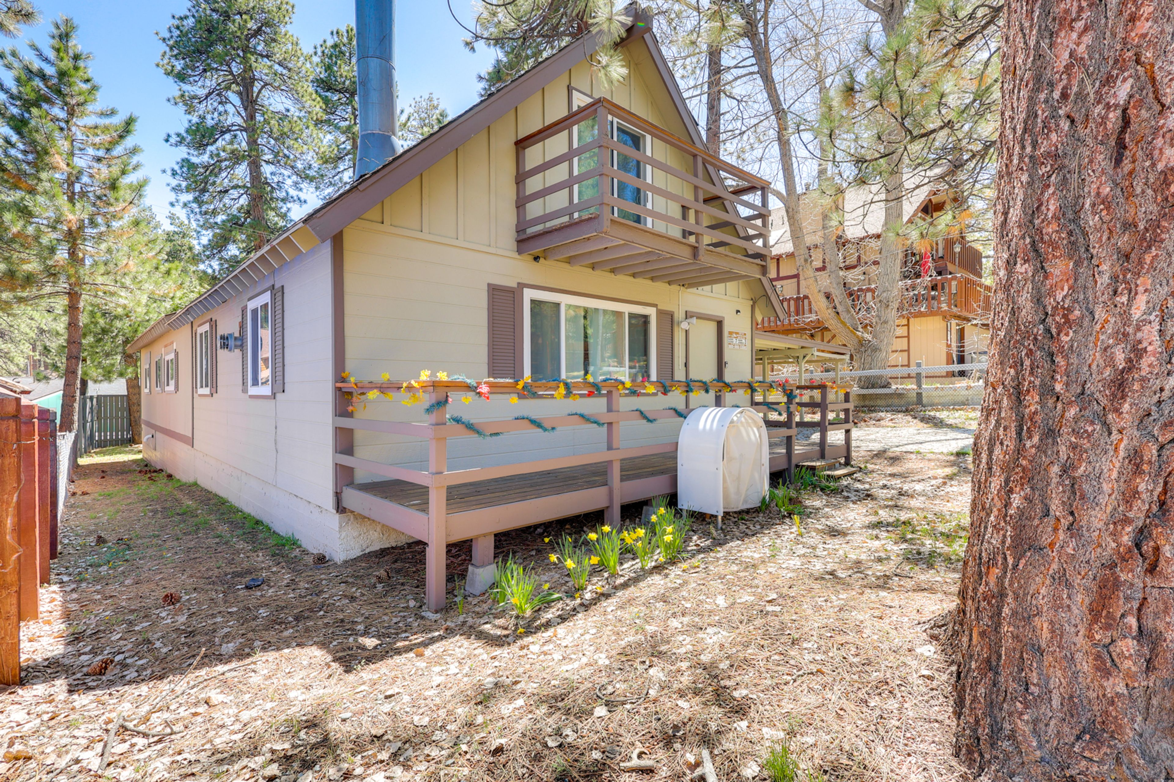 Cabin Exterior