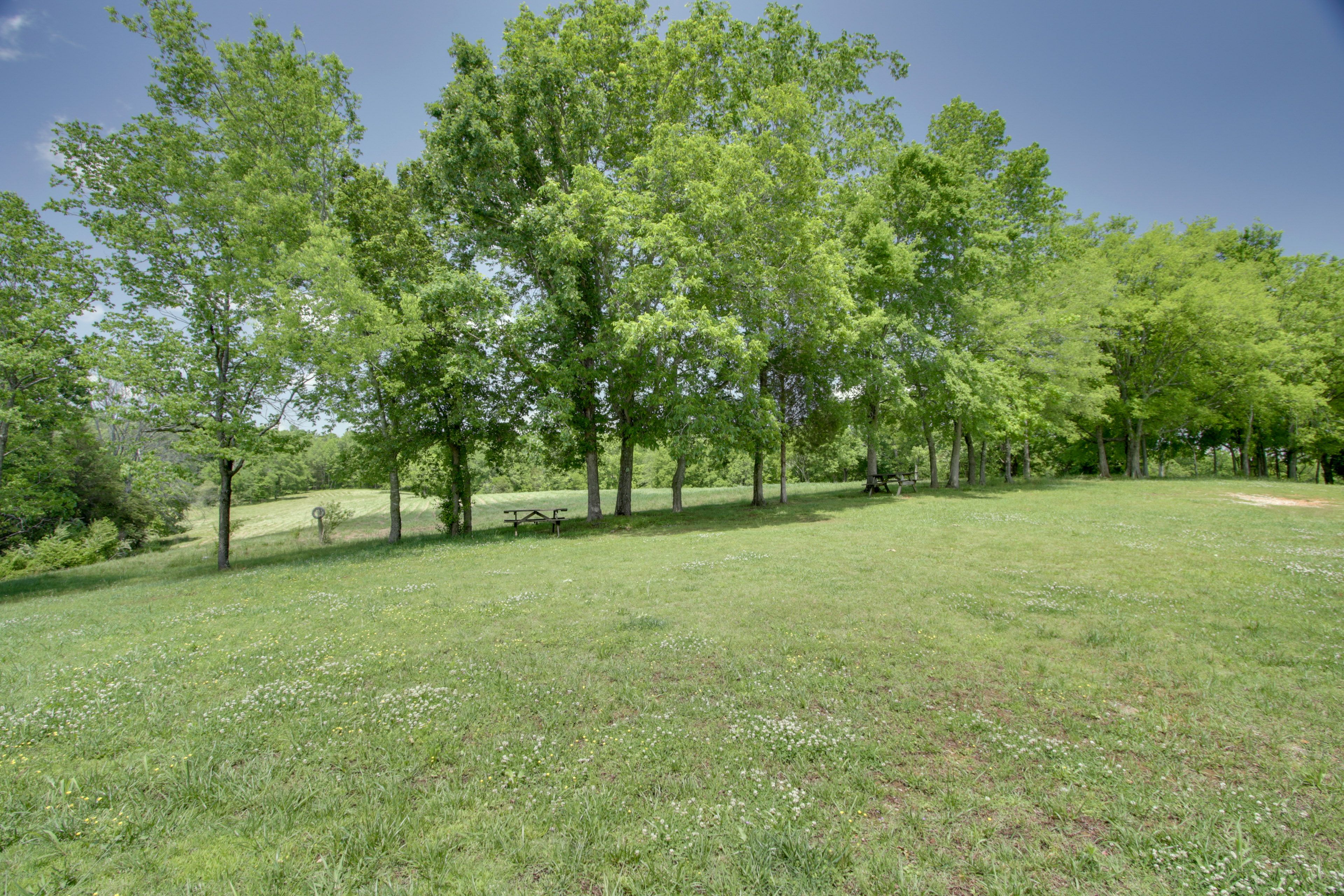 Backyard | Picnic Table