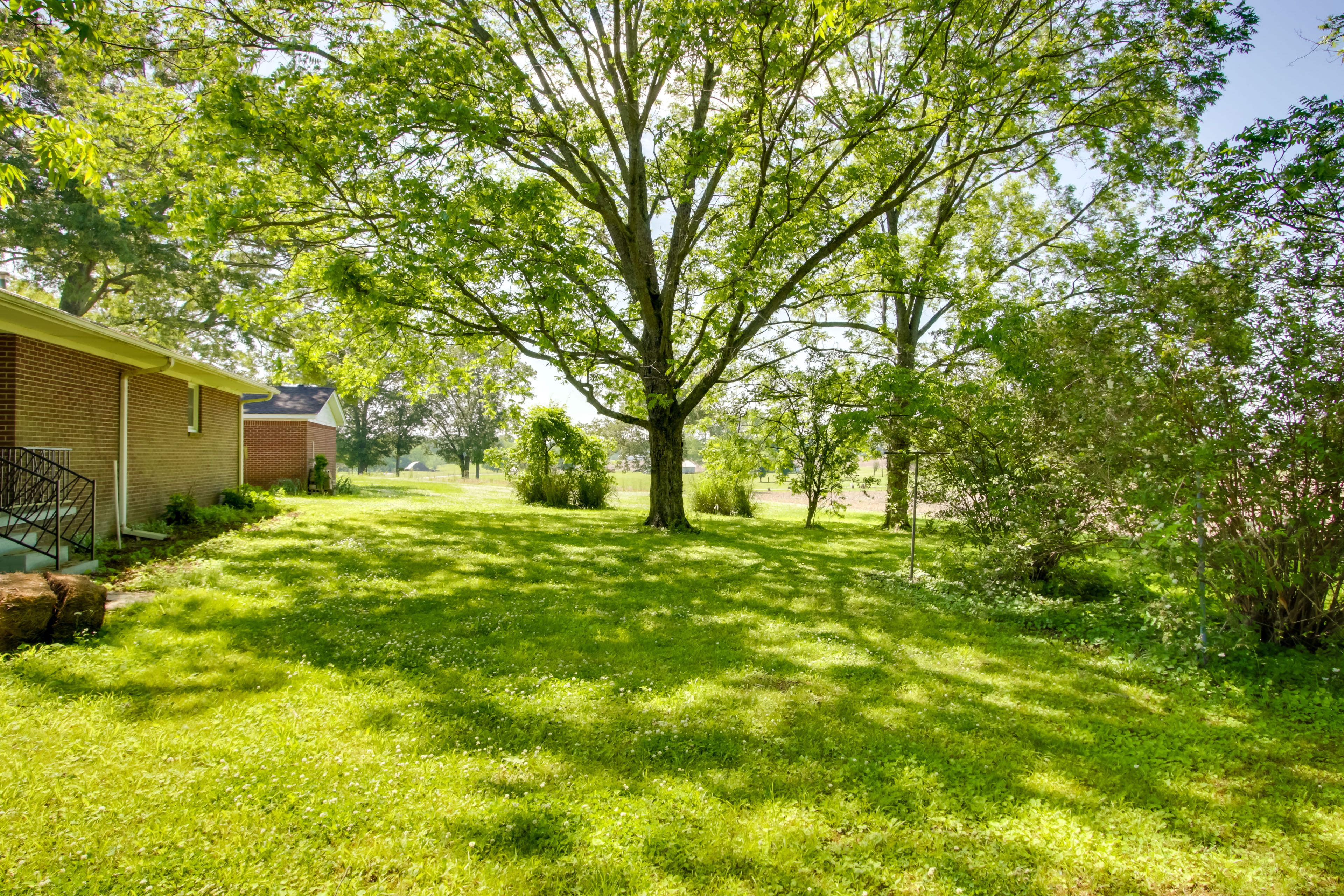 Backyard
