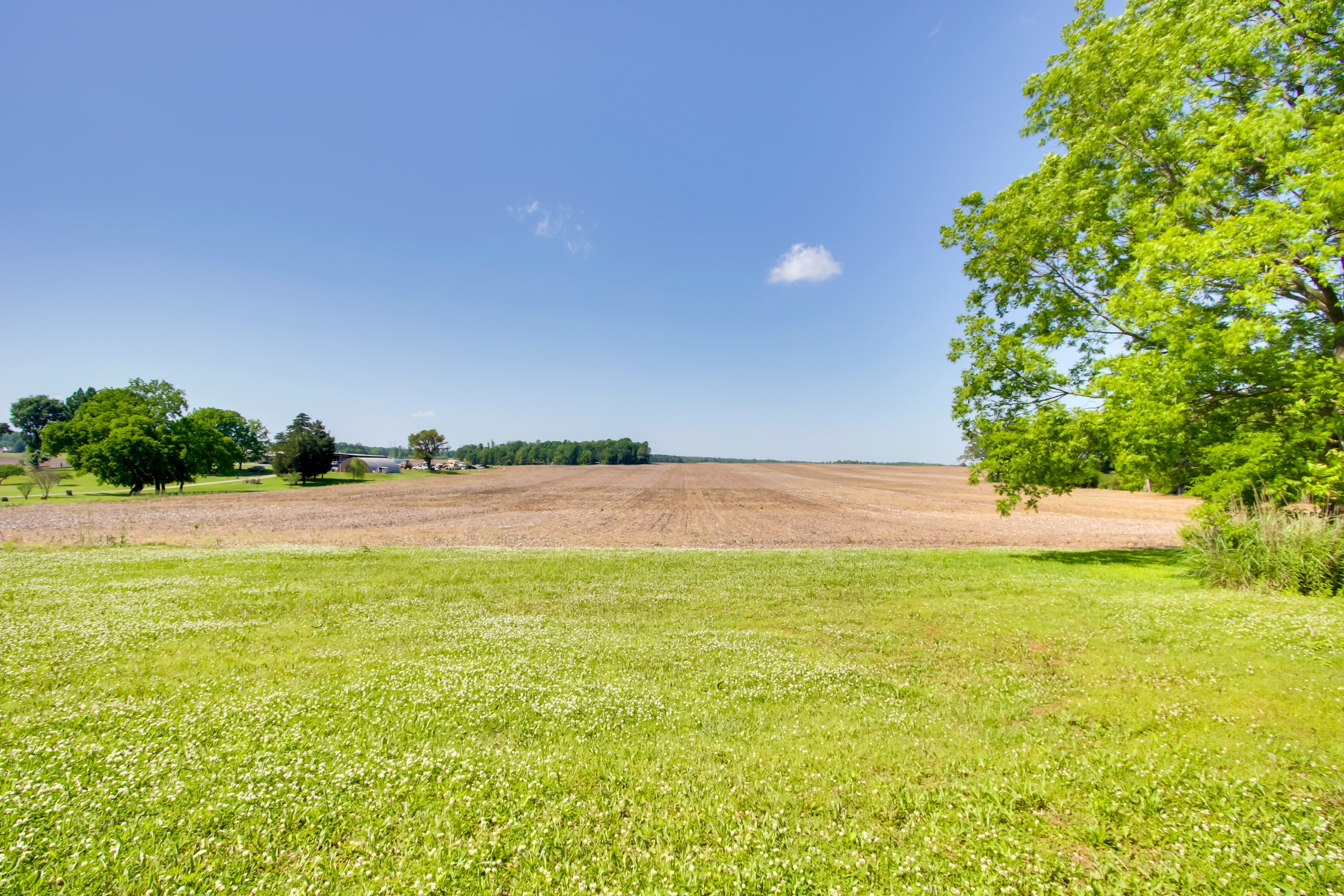 Image 25