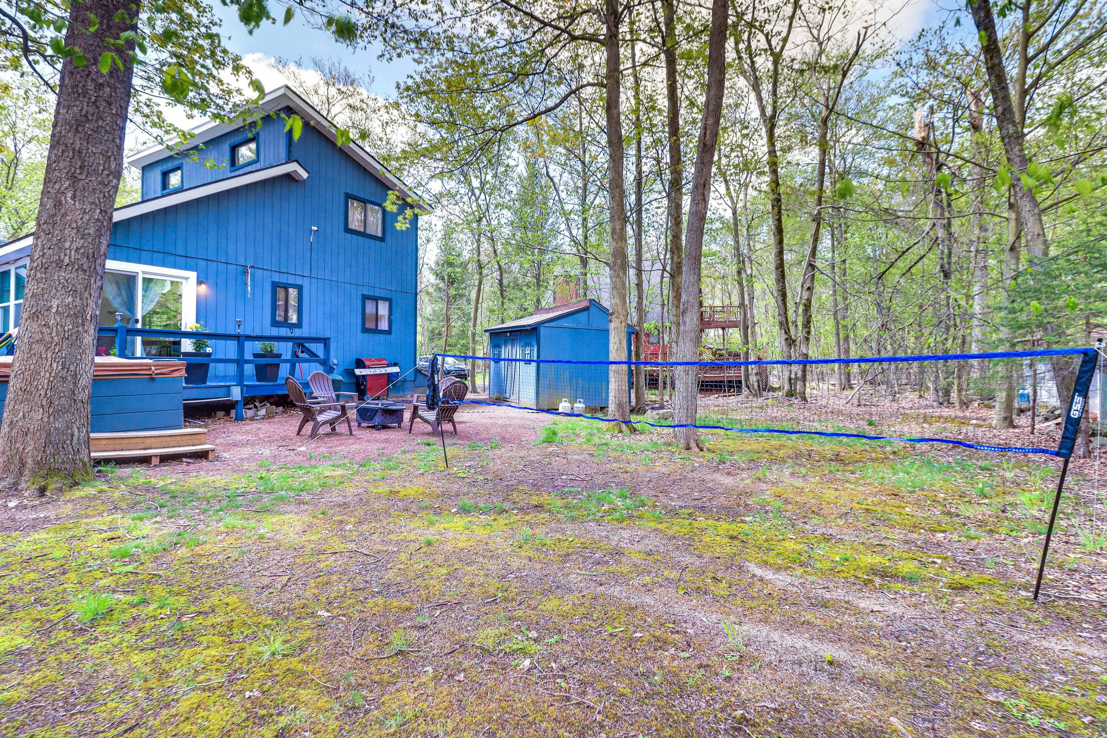 Backyard | Volleyball Net
