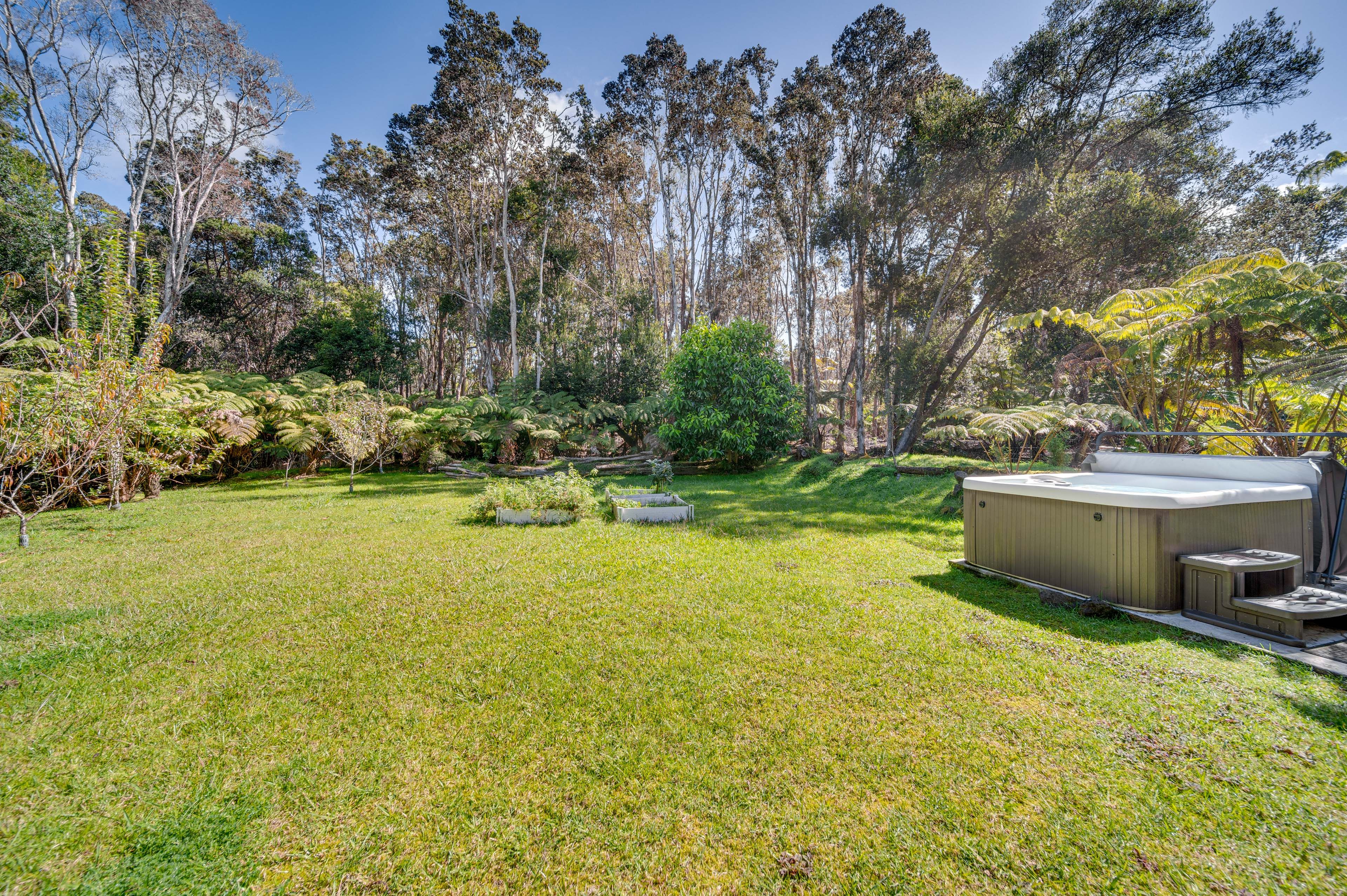 Lush Backyard