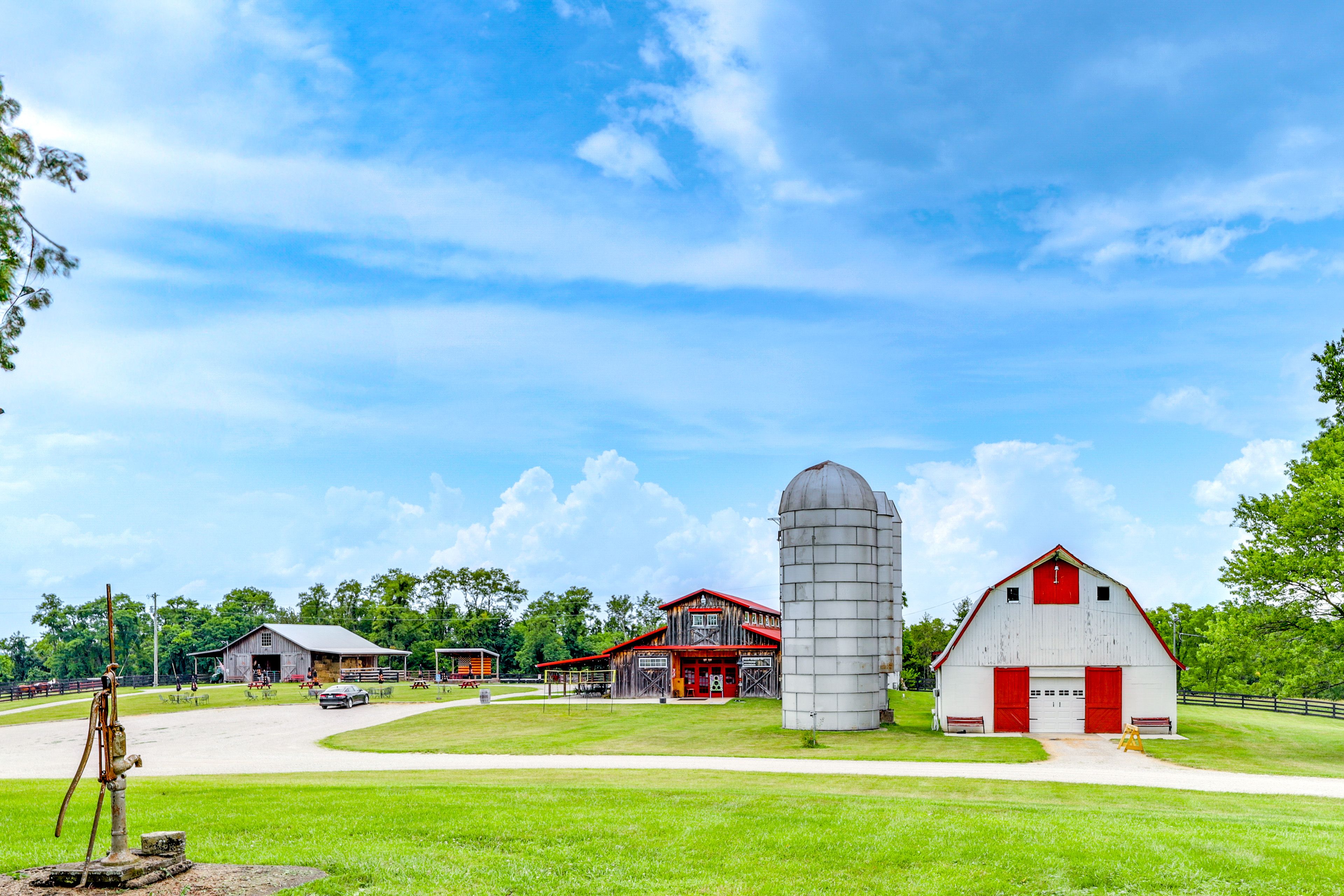 Farm Views