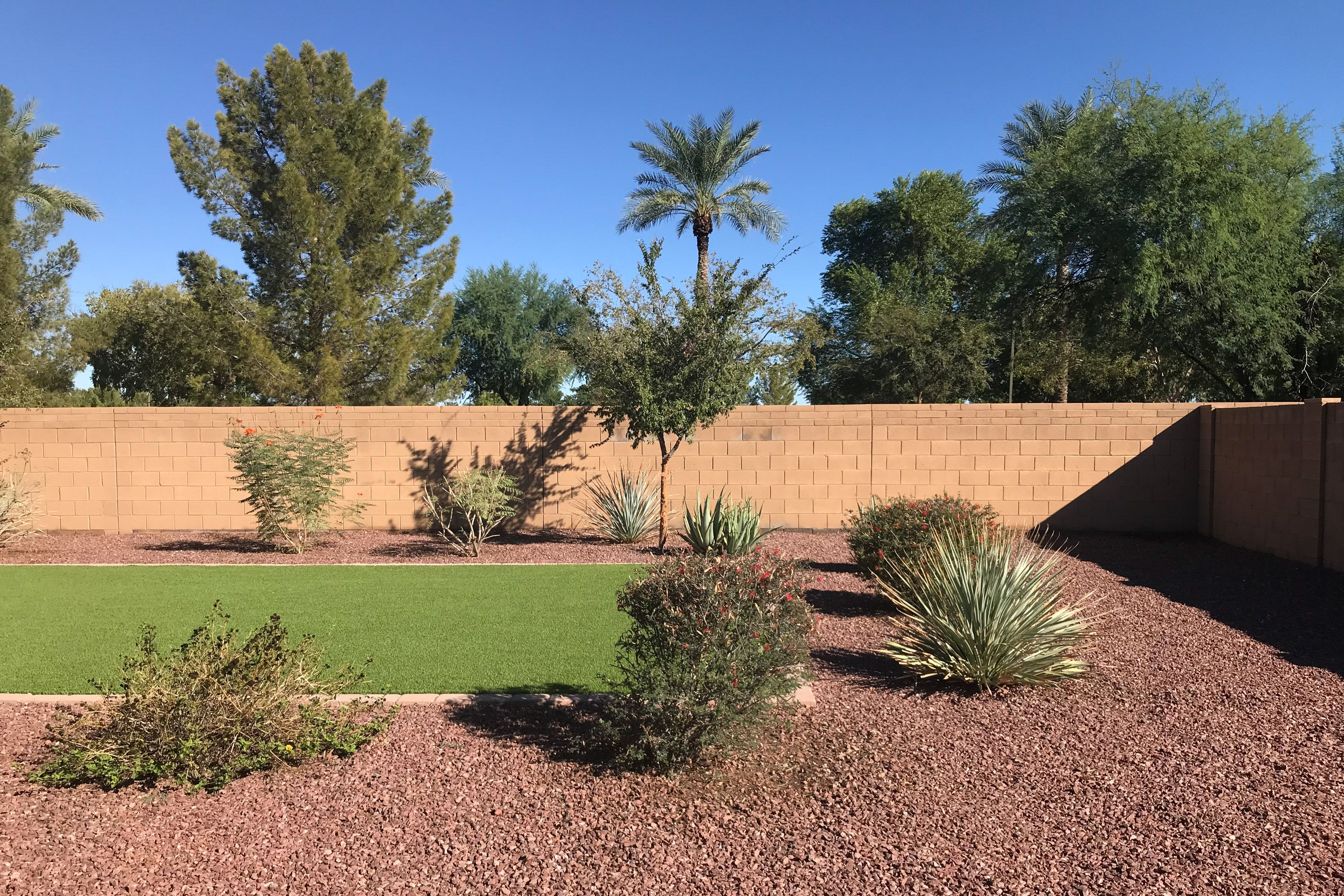 Private Yard