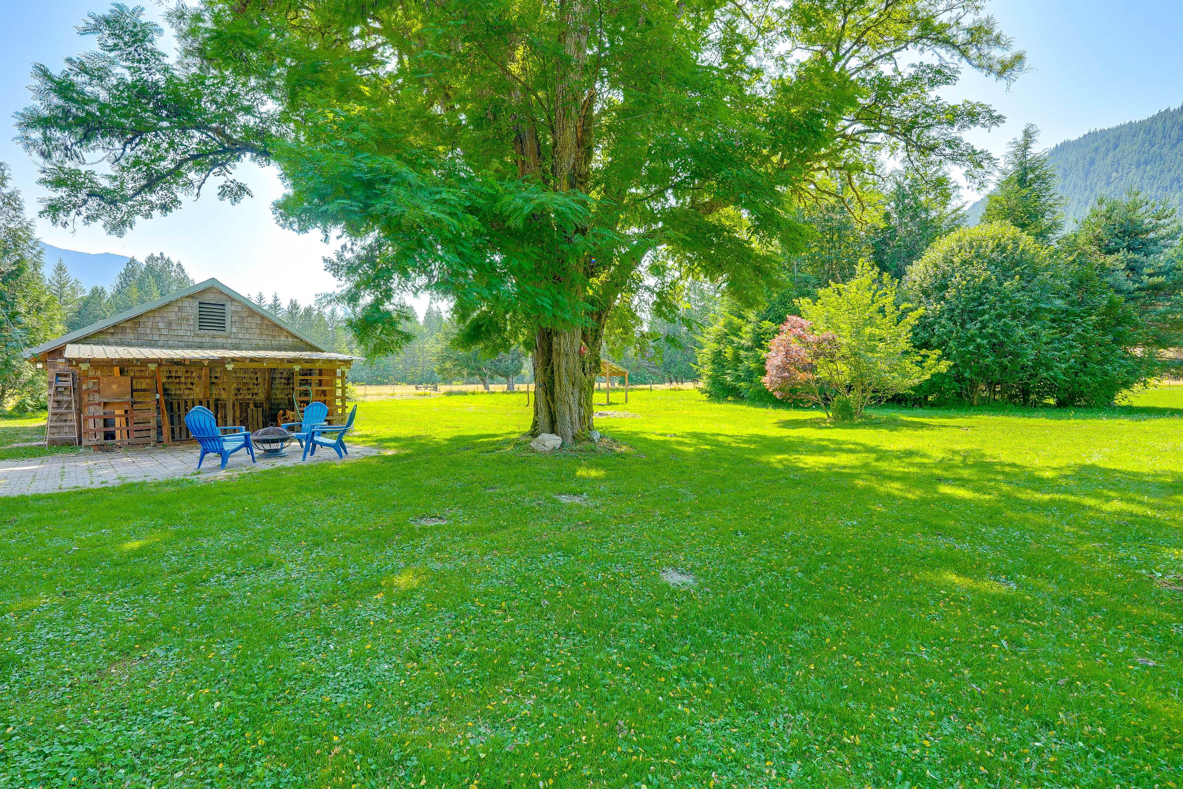 Yard