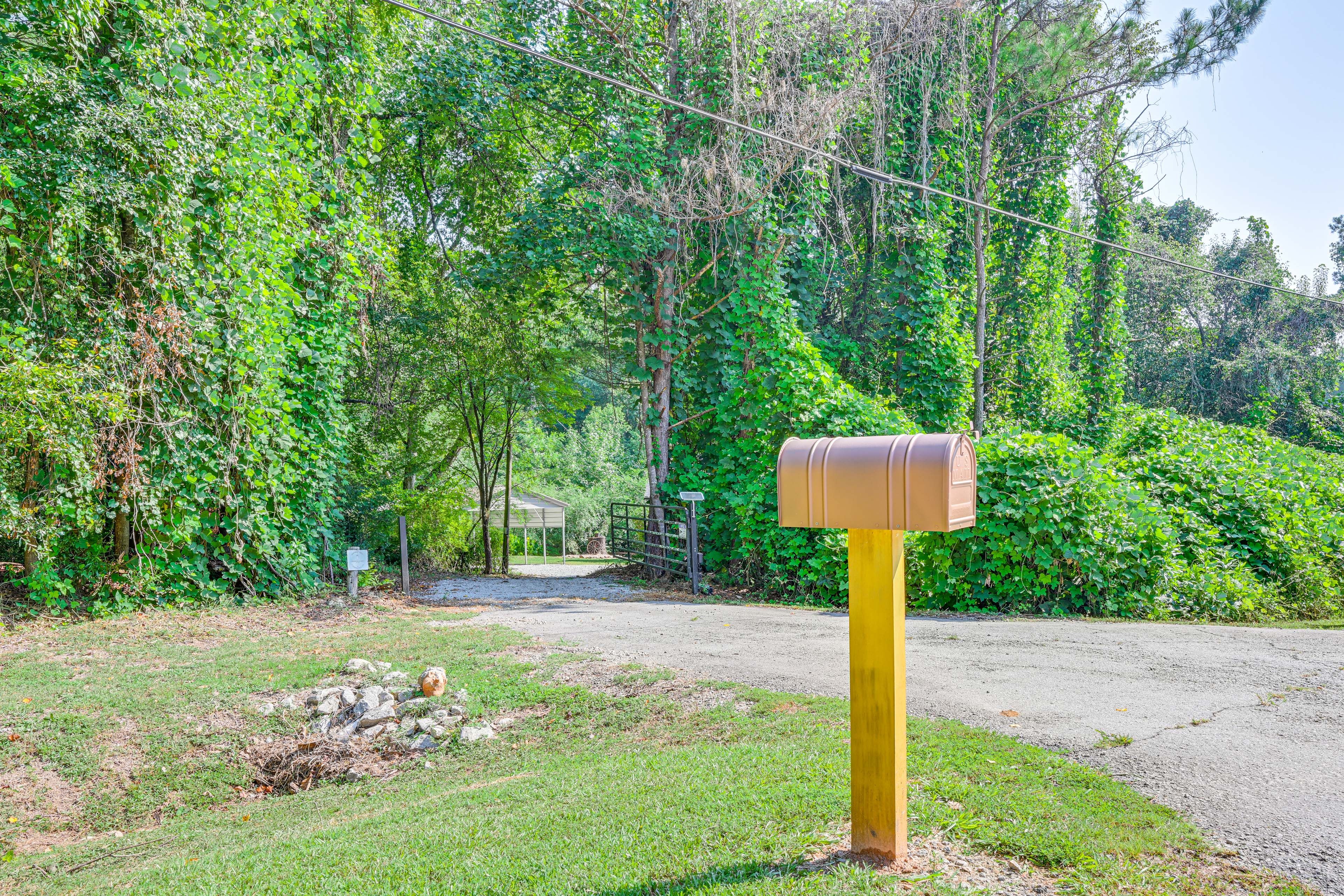 Image 27