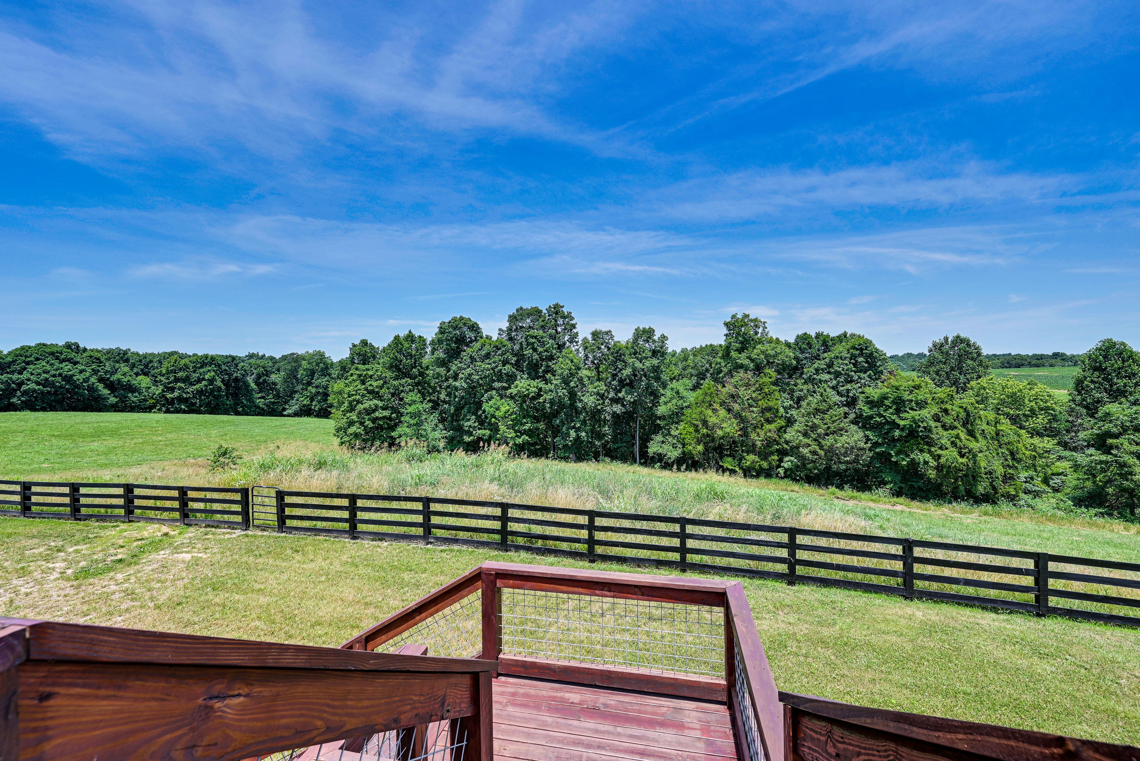 Forest/Field Views