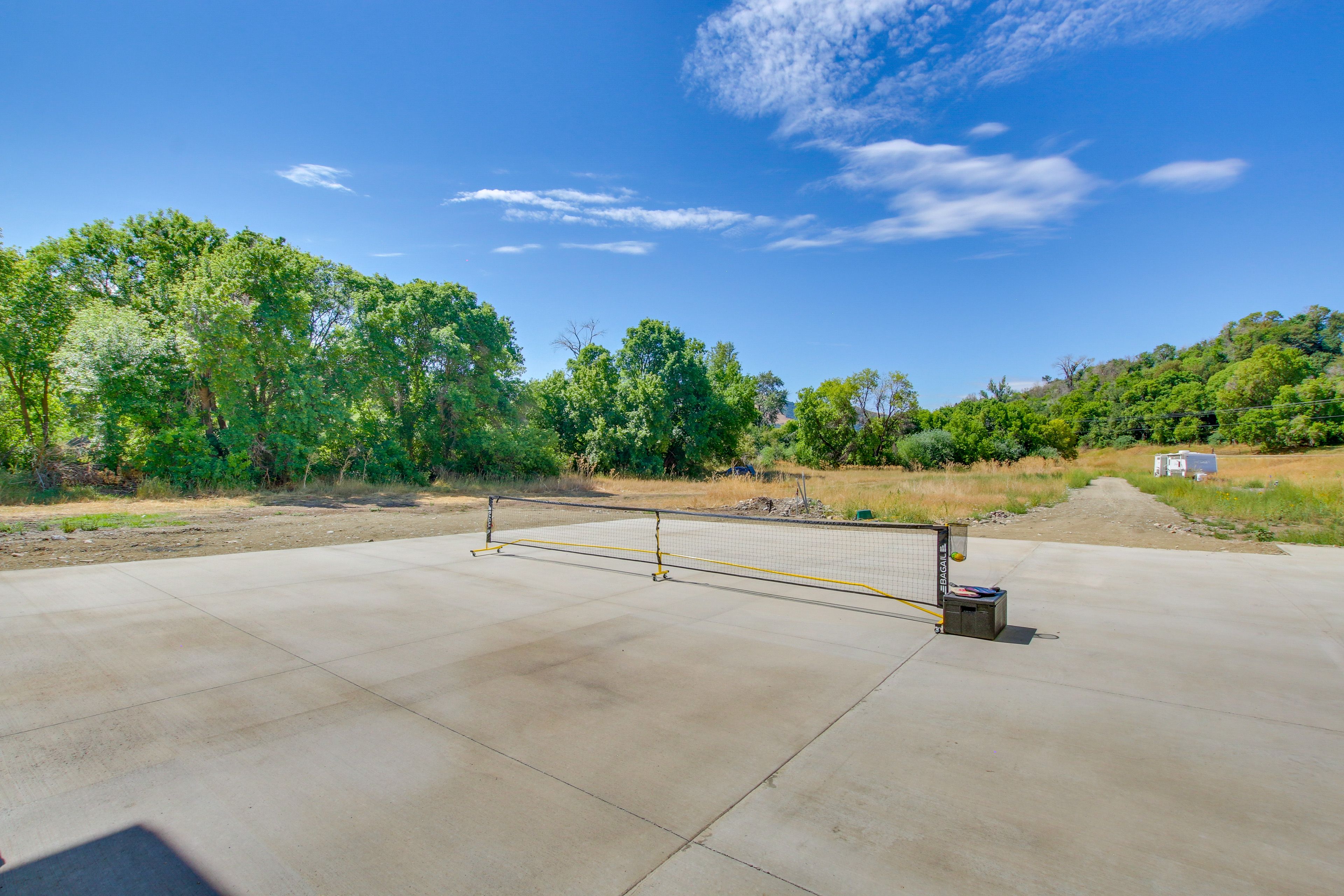 Driveway | Pickleball Net